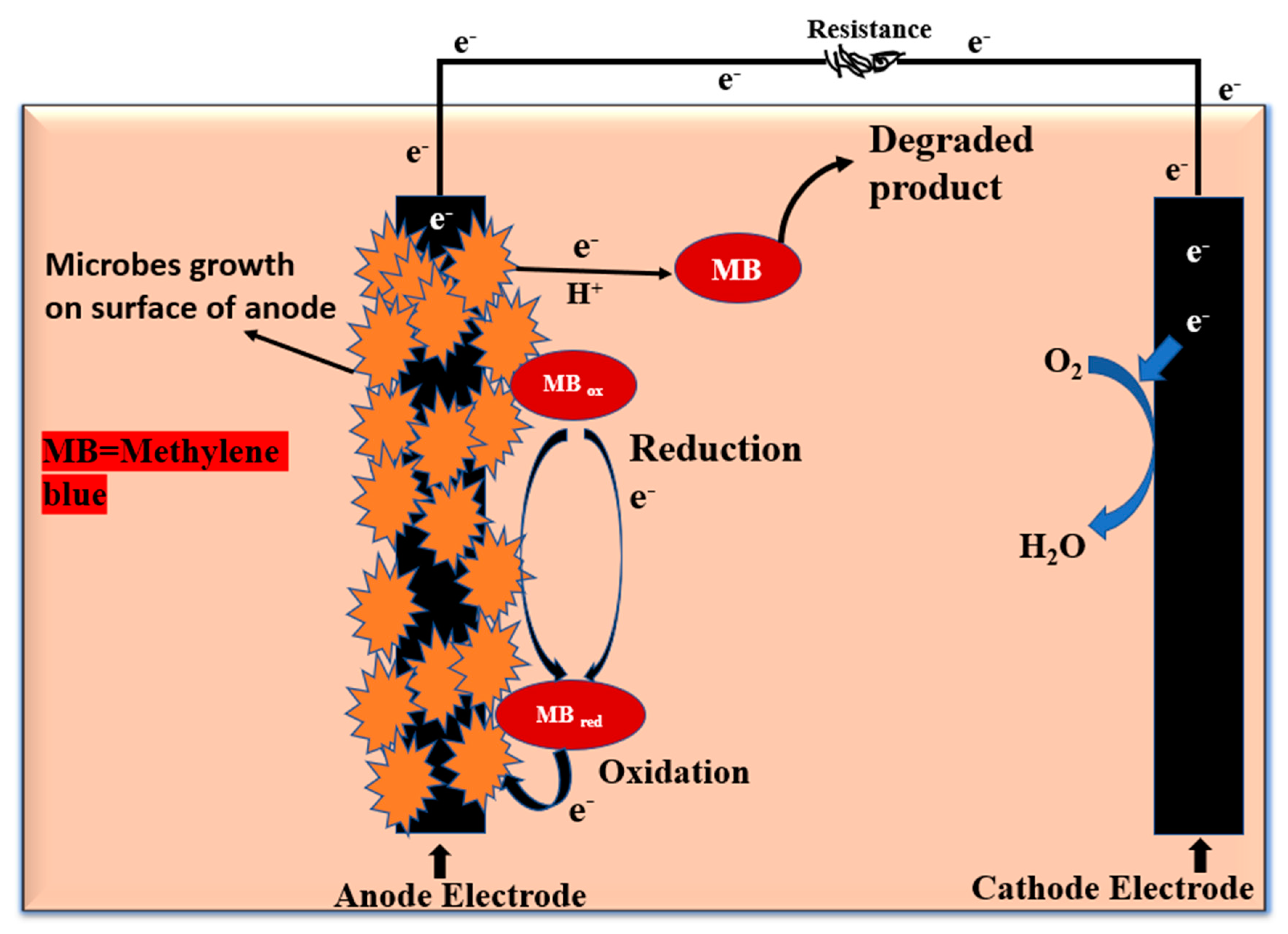 Catalysts 10 00819 g003 Catalysts 10 00819 g003