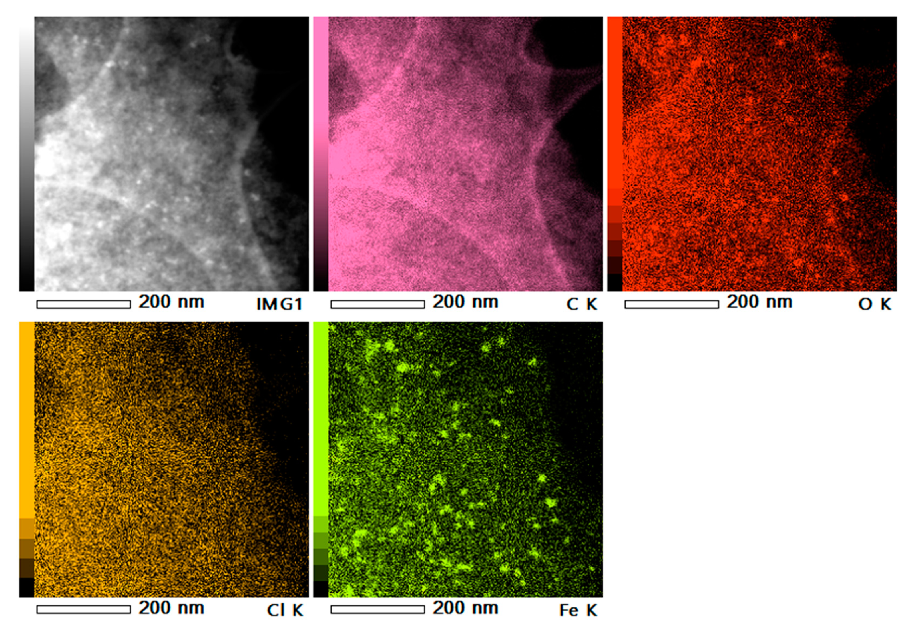 Catalysts 10 00821 g004