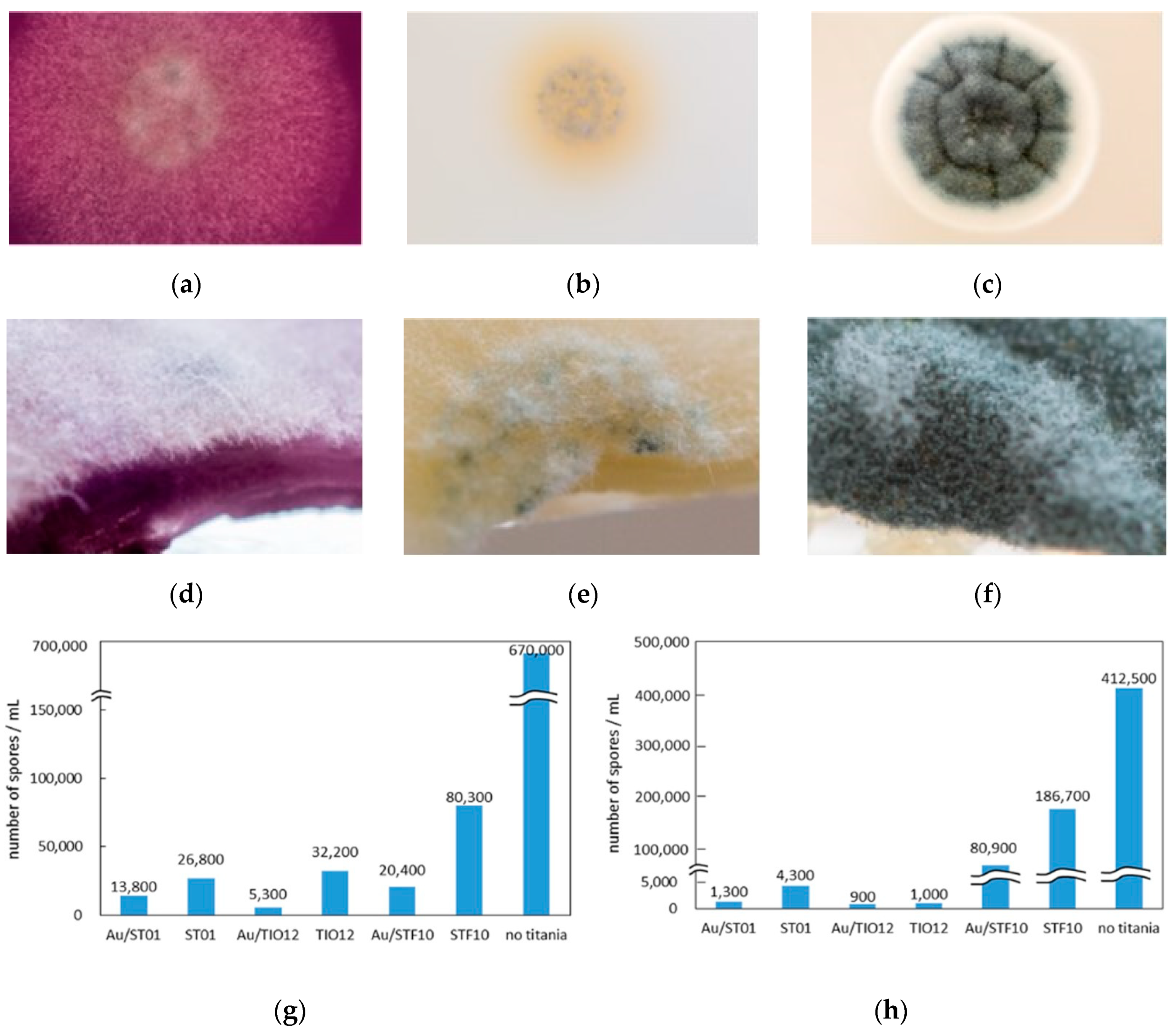 Catalysts 10 00824 g007 Catalysts 10 00824 g007