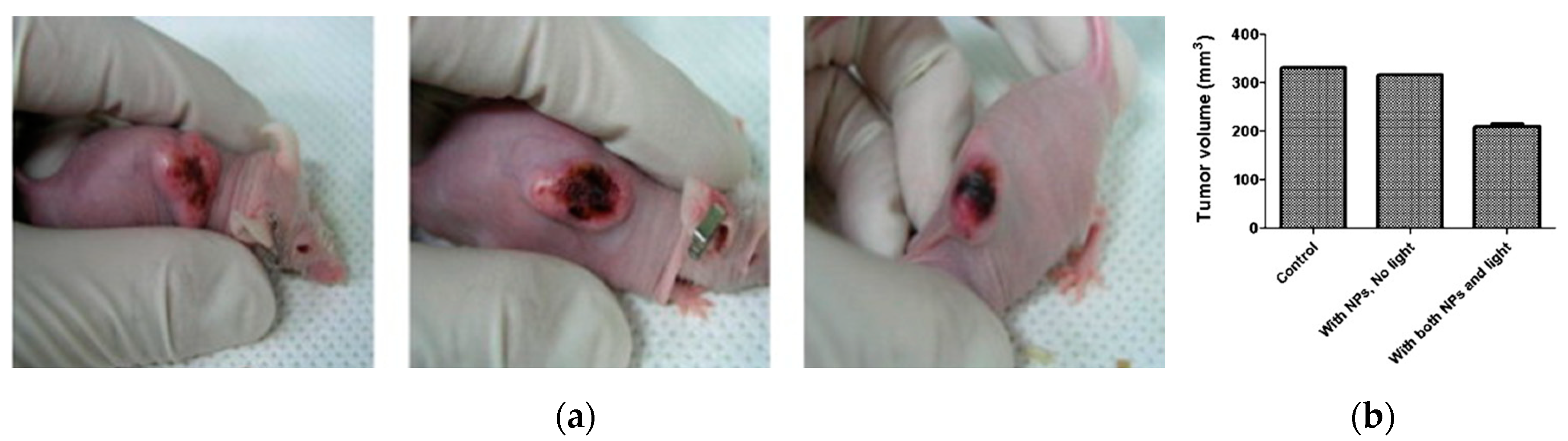 Catalysts 10 00824 g008 Catalysts 10 00824 g008