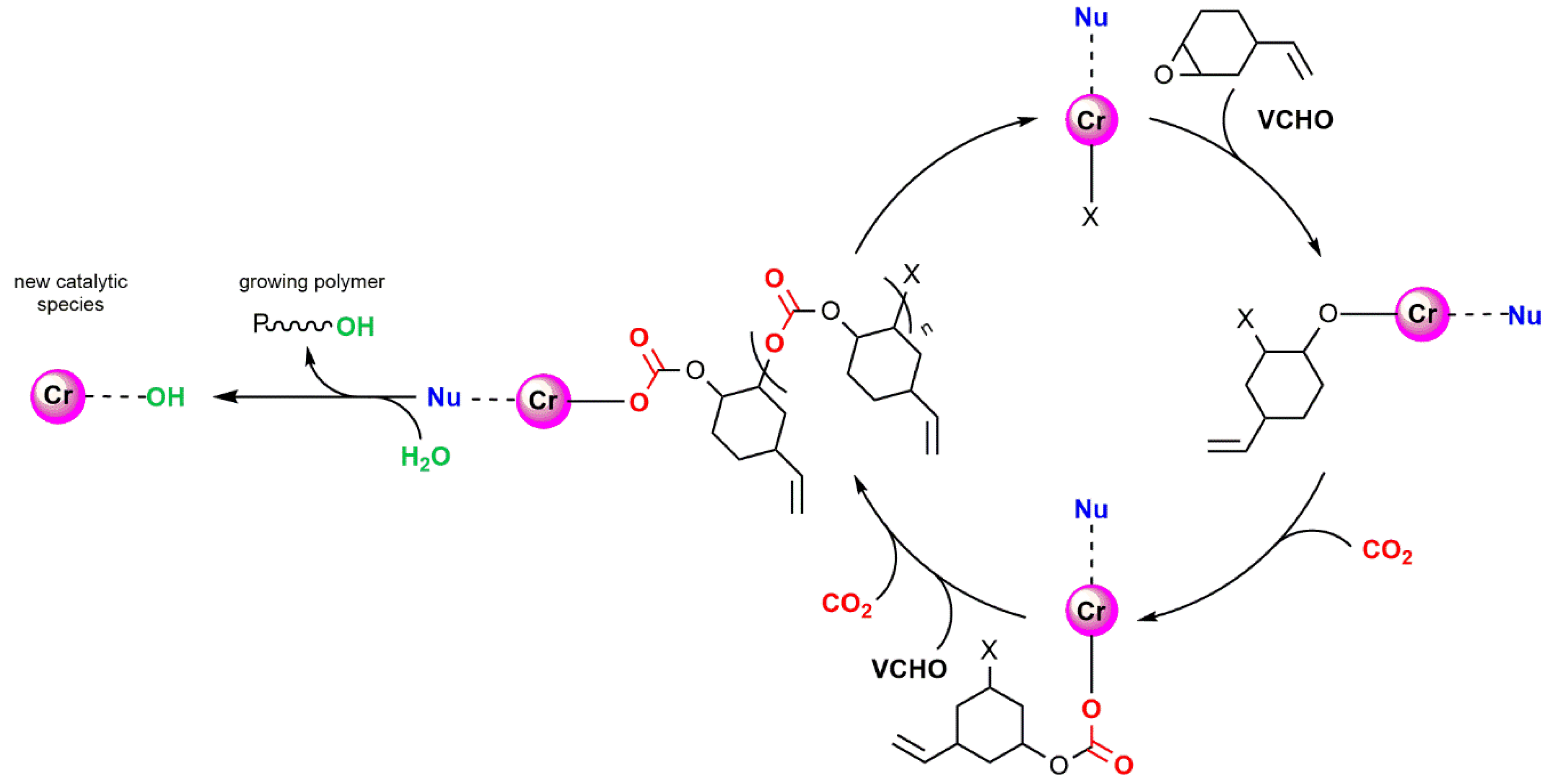 Catalysts 10 00825 sch002 Catalysts 10 00825 sch002