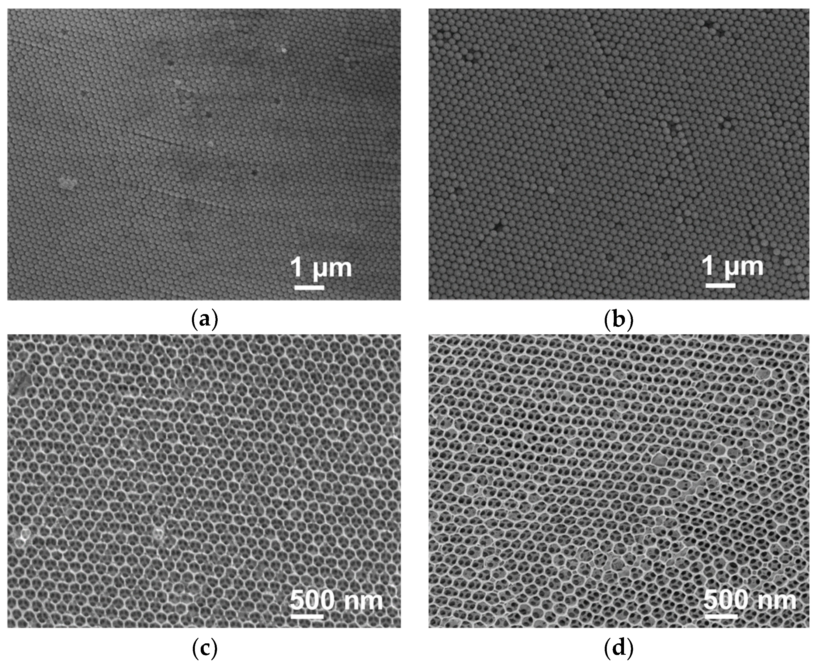 Catalysts 10 00827 g002 Catalysts 10 00827 g002