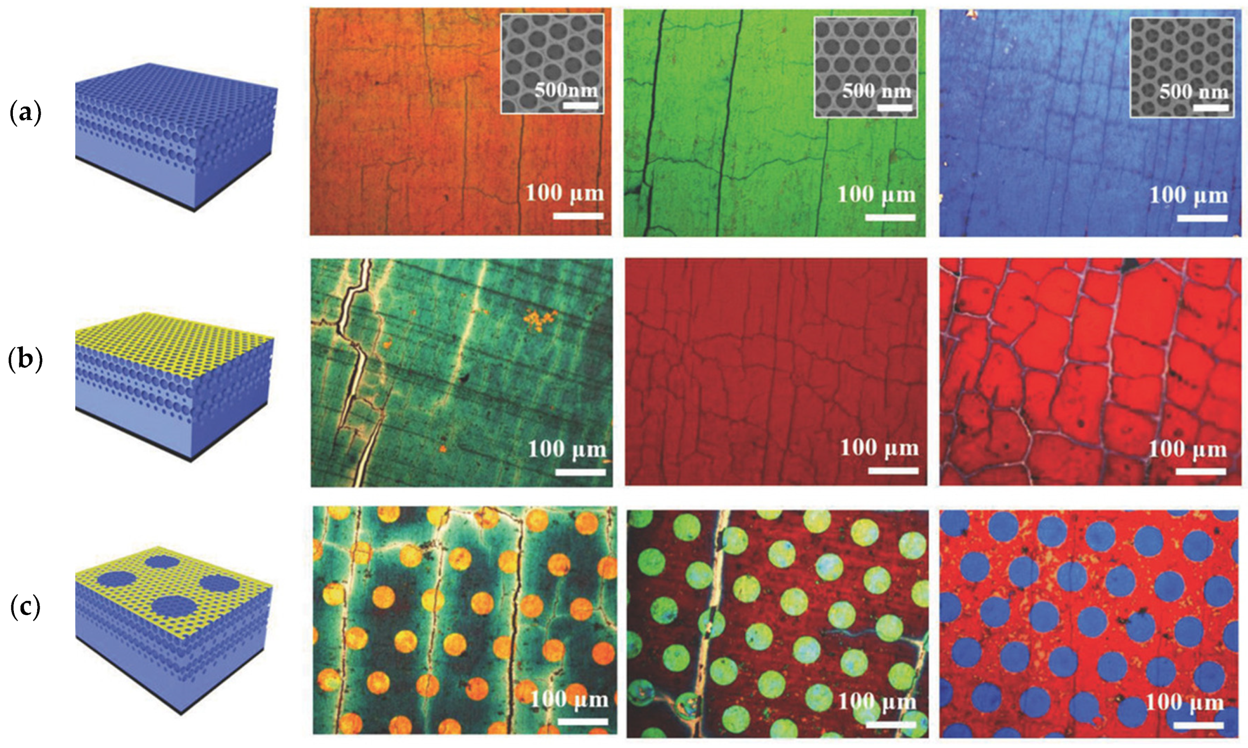 Catalysts 10 00827 g003 Catalysts 10 00827 g003