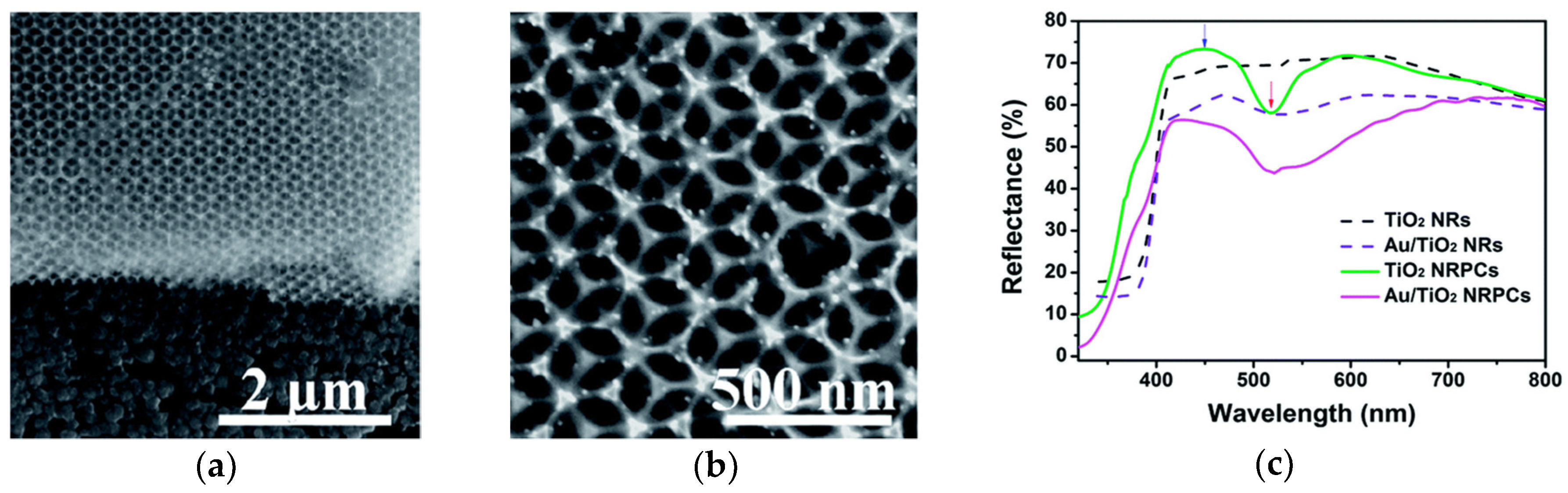 Catalysts 10 00827 g005 Catalysts 10 00827 g005