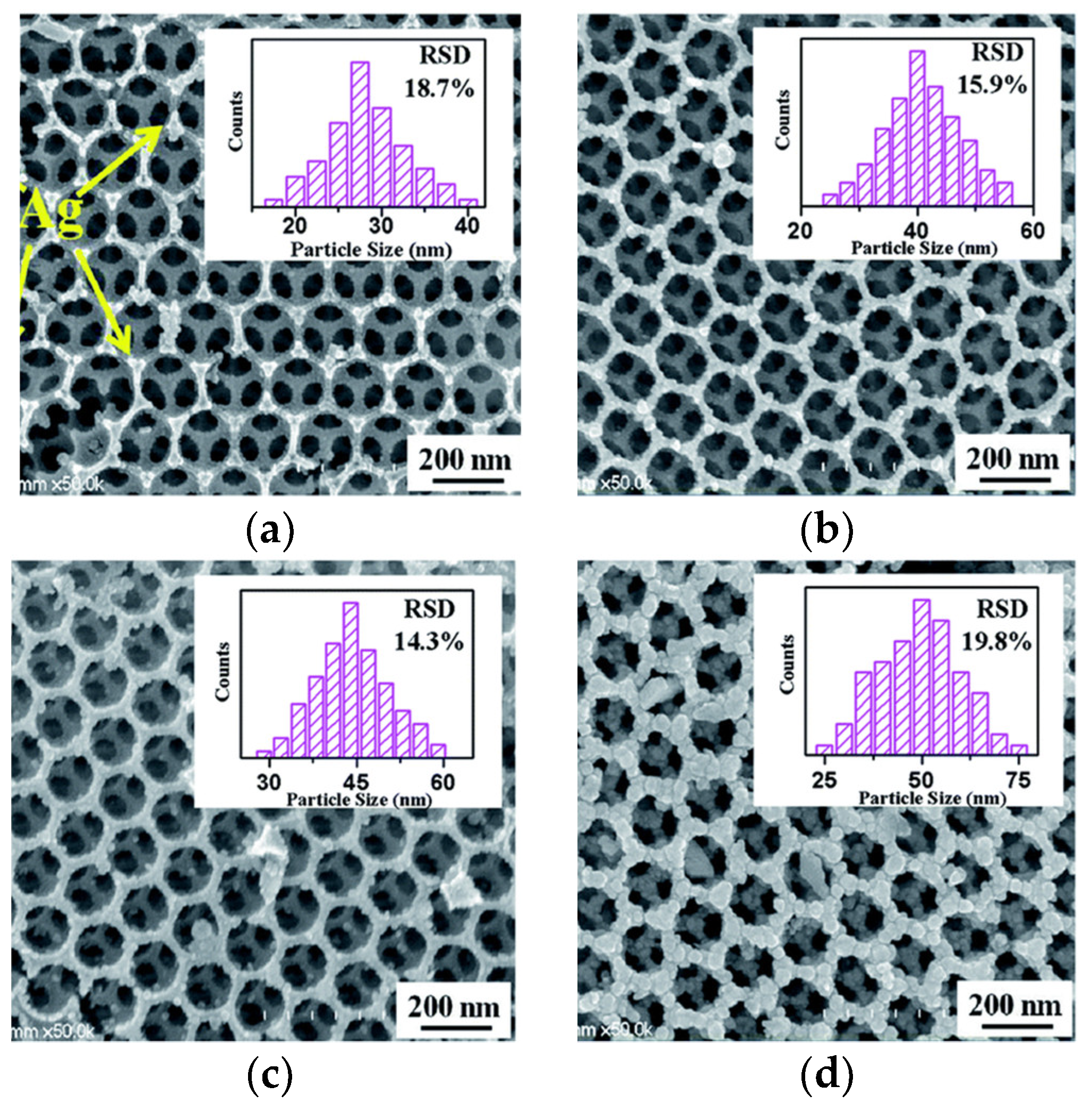 Catalysts 10 00827 g009 Catalysts 10 00827 g009