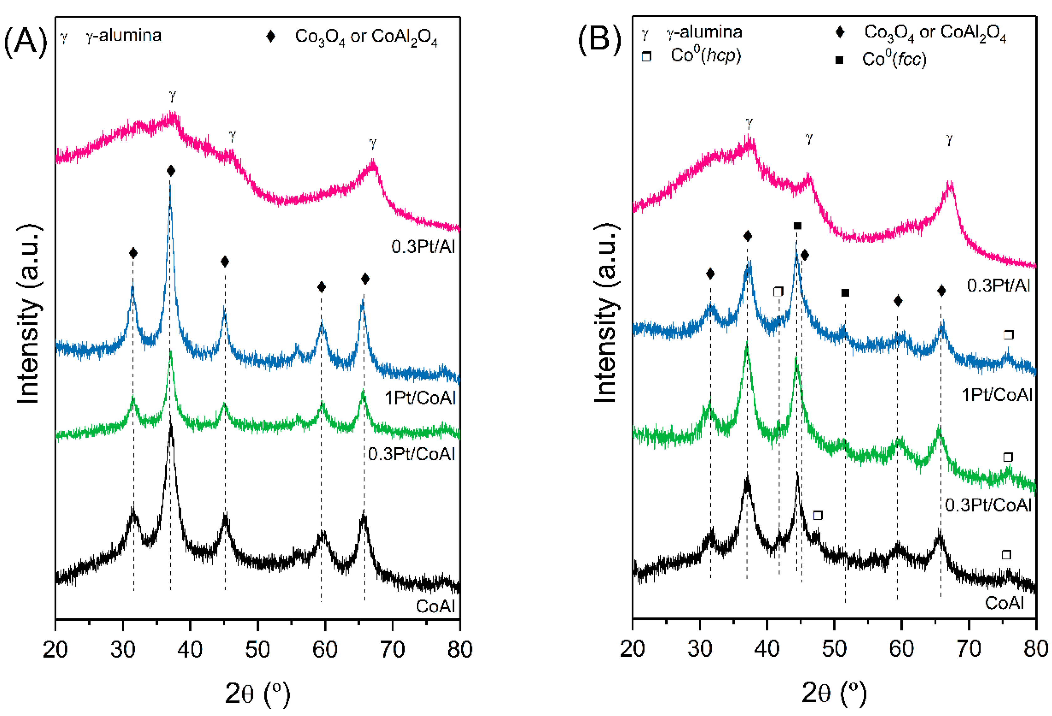 Catalysts 10 00830 g001