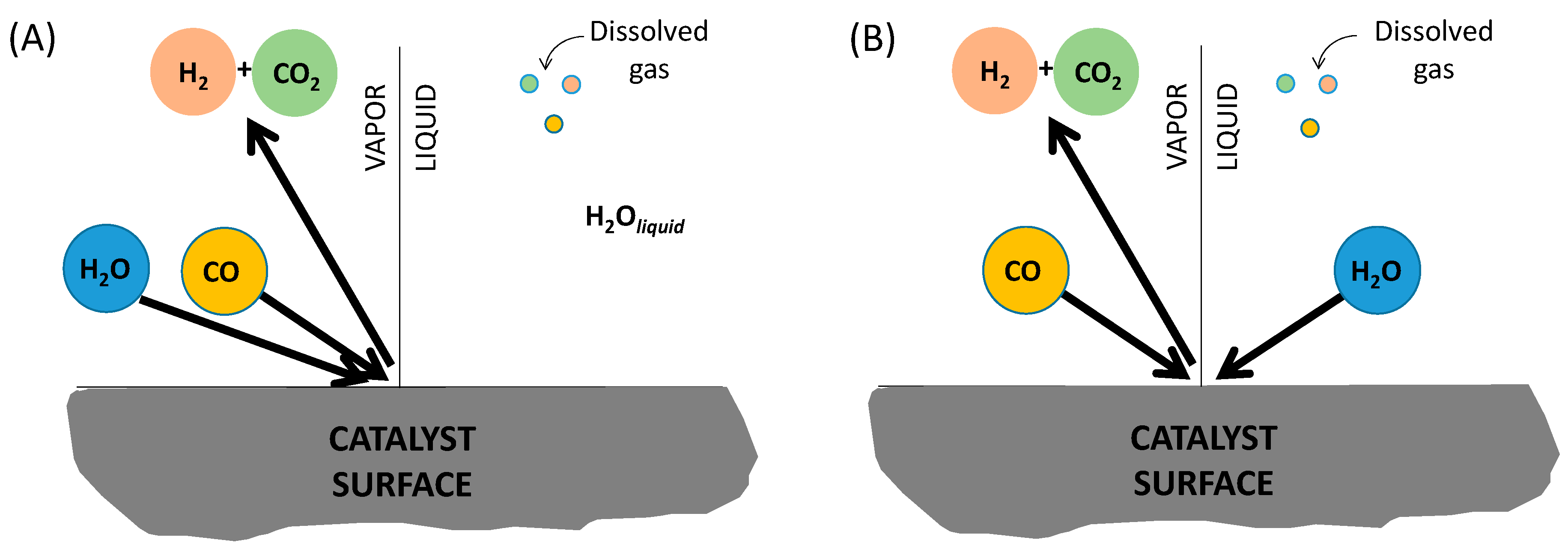 Catalysts 10 00830 g006