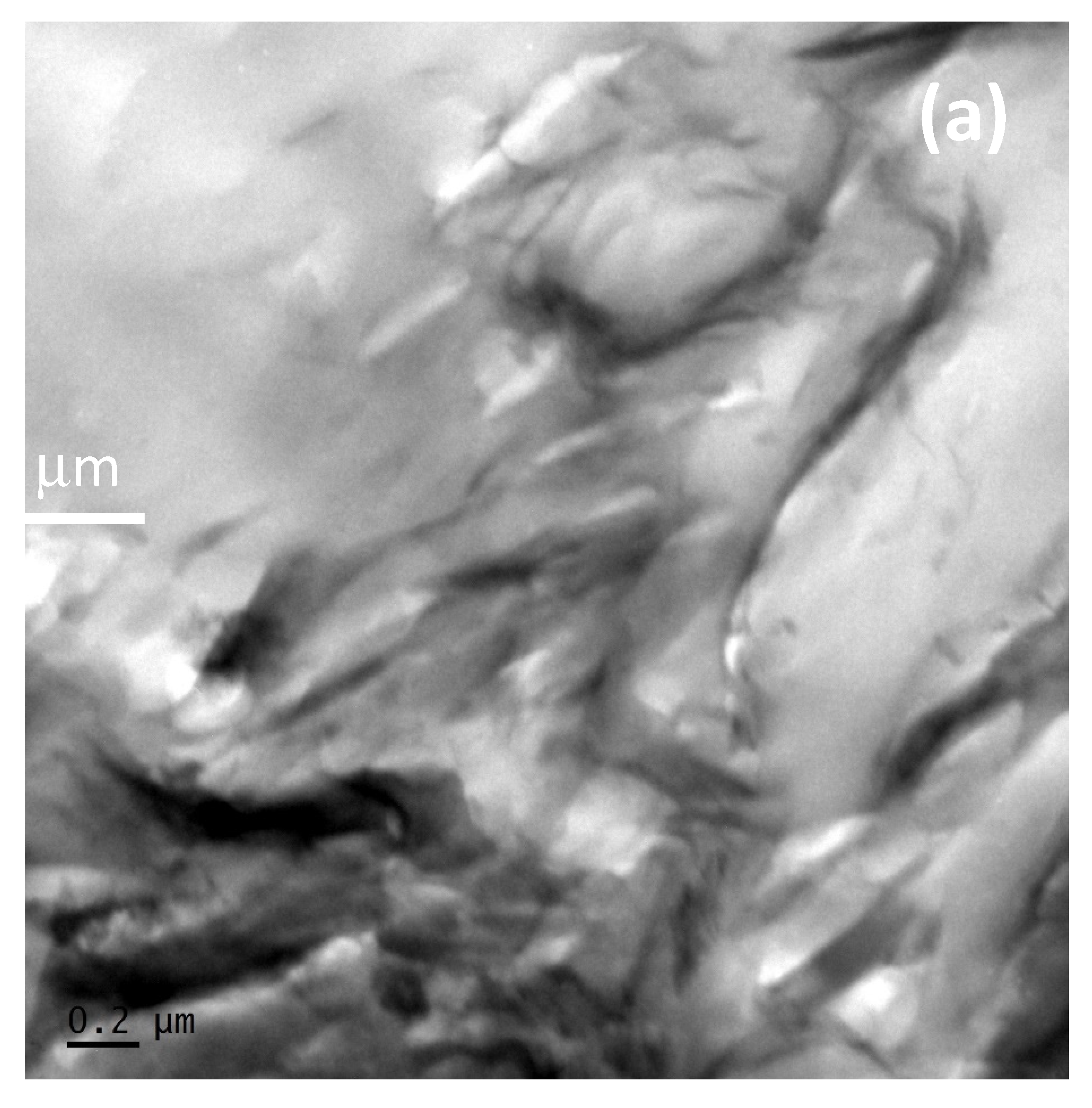 Catalysts 10 00831 g002a Catalysts 10 00831 g002a