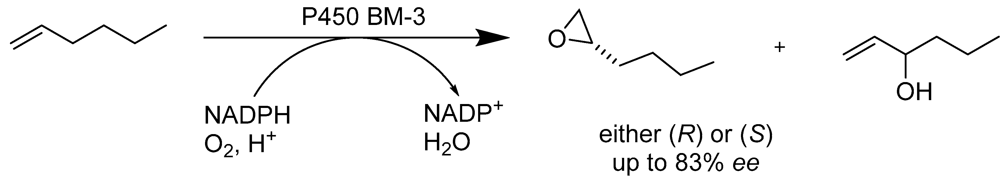 Catalysts 10 00832 sch004 Catalysts 10 00832 sch004