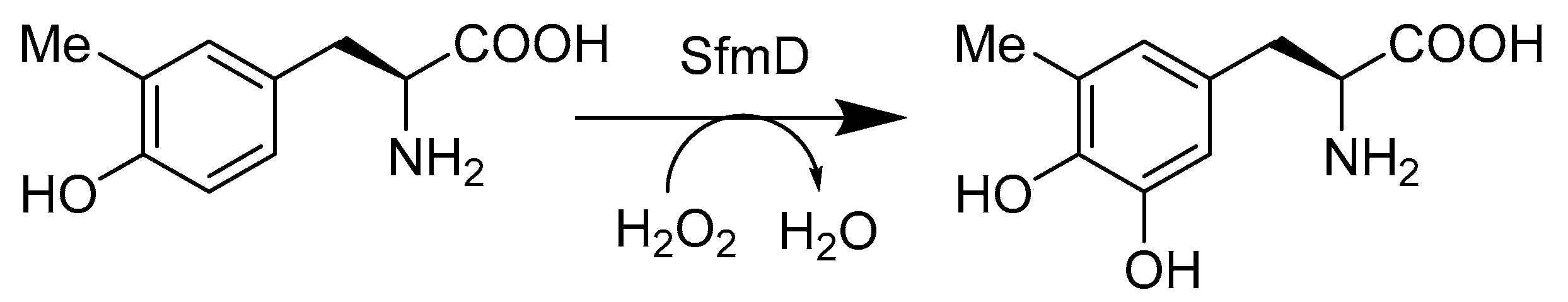 Catalysts 10 00832 sch005 Catalysts 10 00832 sch005