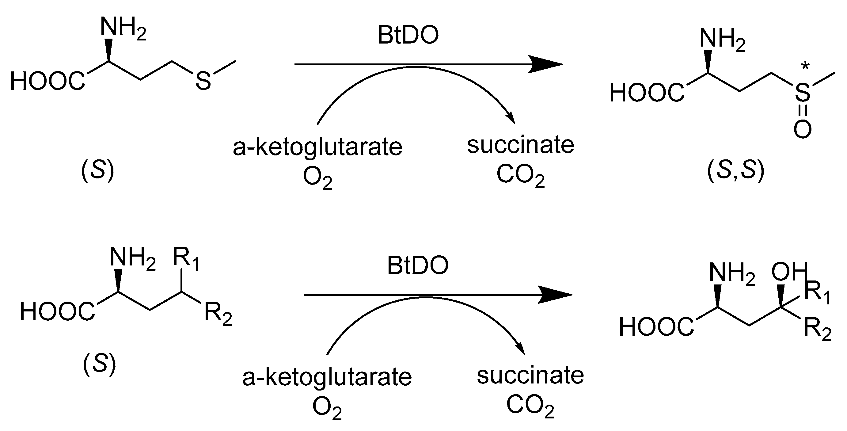 Catalysts 10 00832 sch007 Catalysts 10 00832 sch007