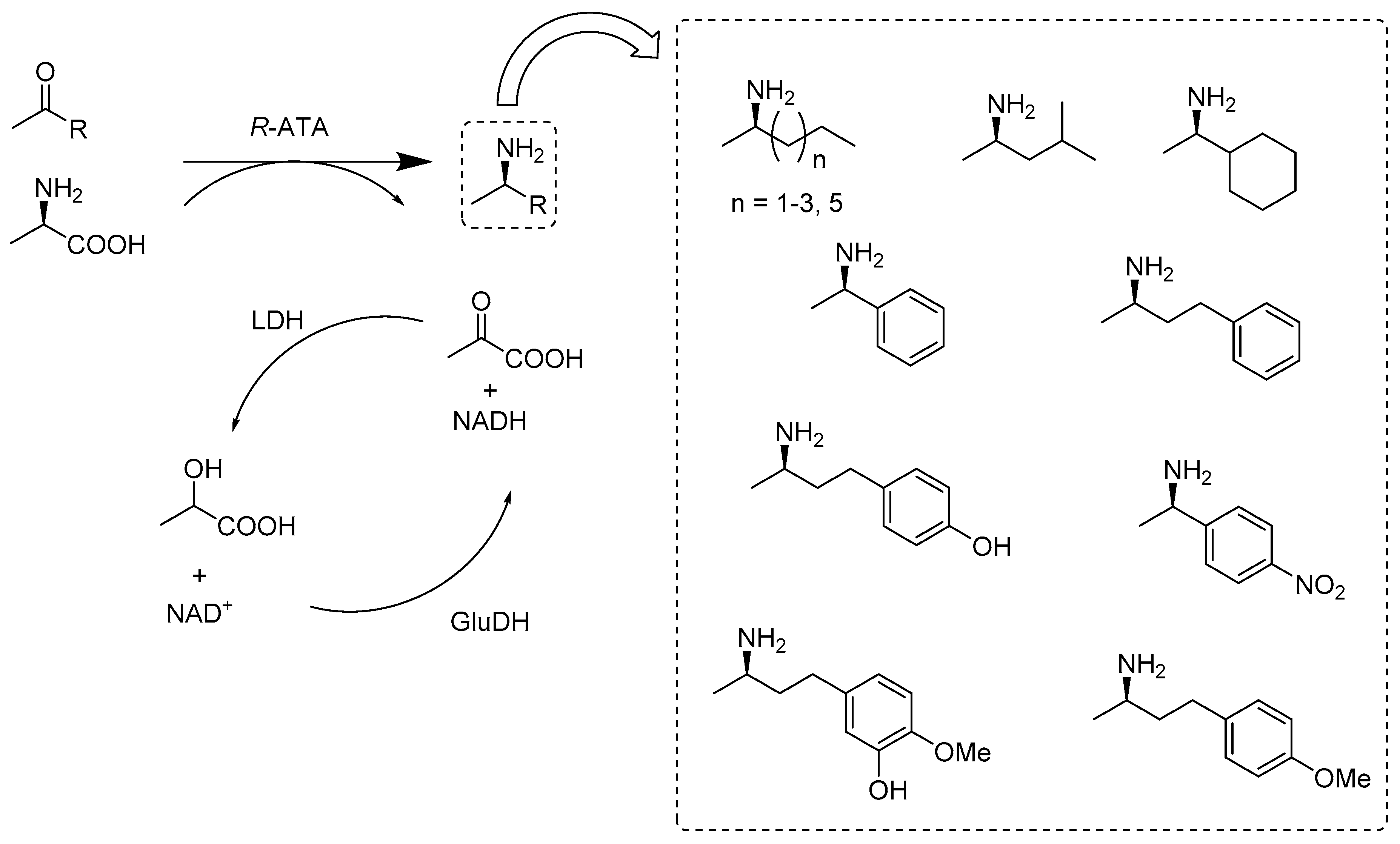 Catalysts 10 00832 sch010 Catalysts 10 00832 sch010