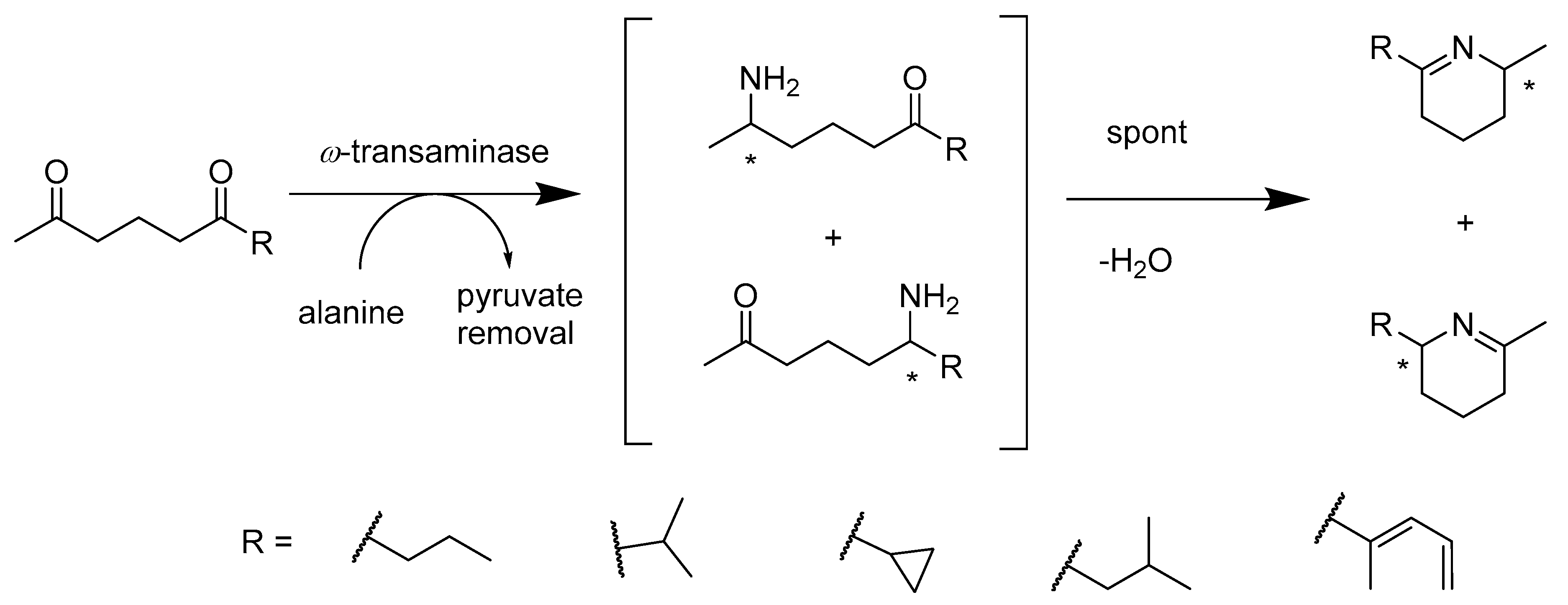Catalysts 10 00832 sch011 Catalysts 10 00832 sch011
