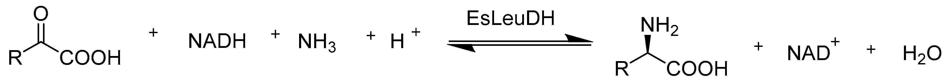 Catalysts 10 00832 sch013 Catalysts 10 00832 sch013