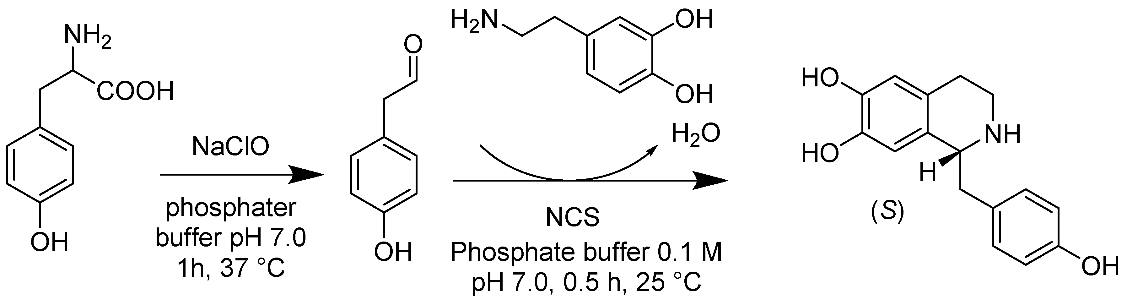 Catalysts 10 00832 sch018 Catalysts 10 00832 sch018