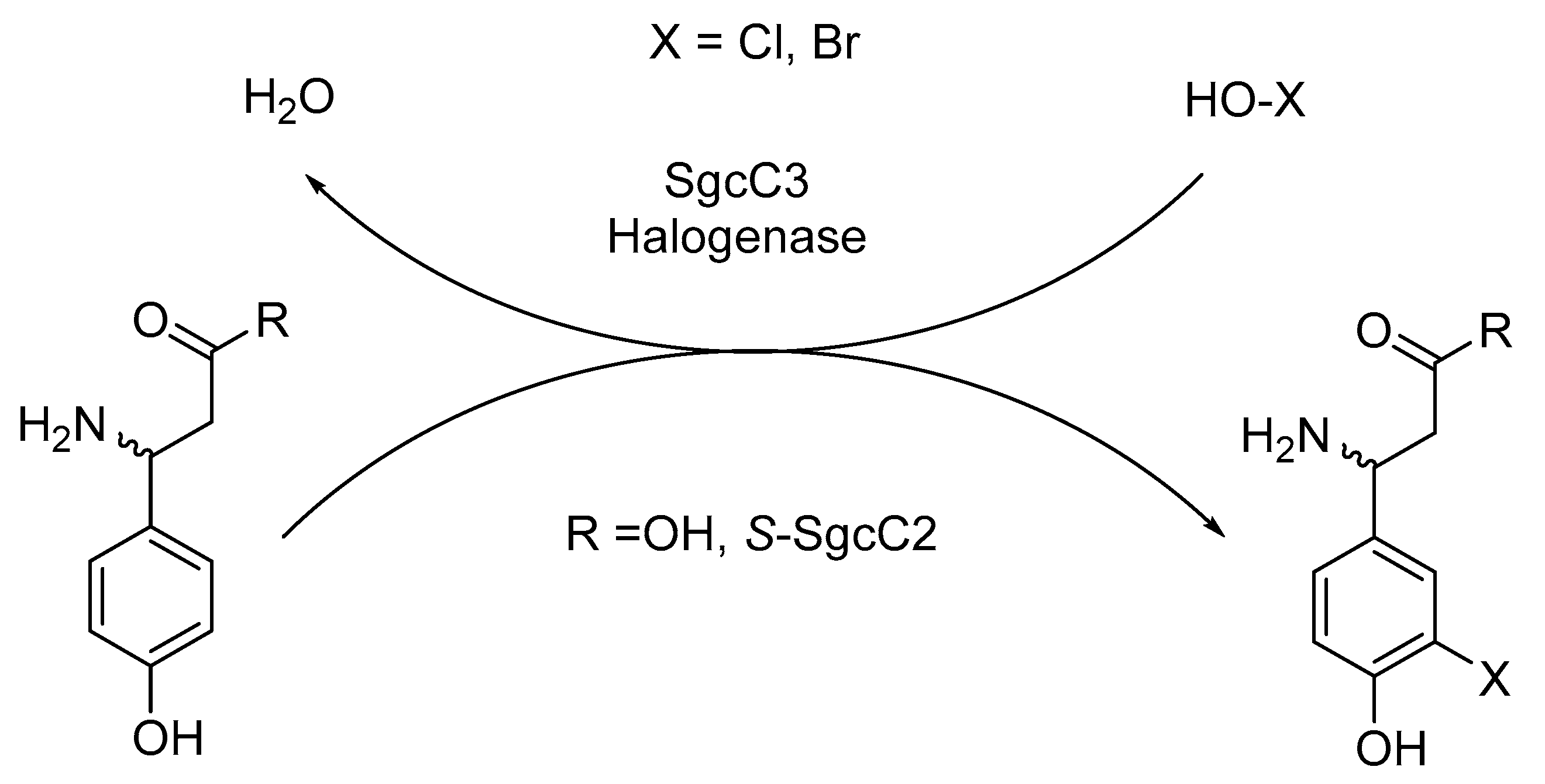Catalysts 10 00832 sch019 Catalysts 10 00832 sch019