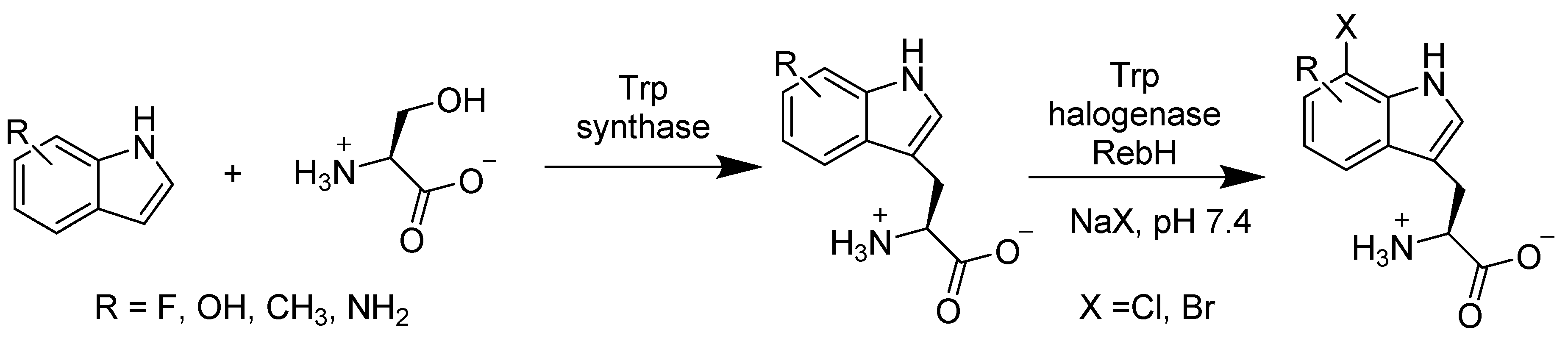 Catalysts 10 00832 sch020 Catalysts 10 00832 sch020