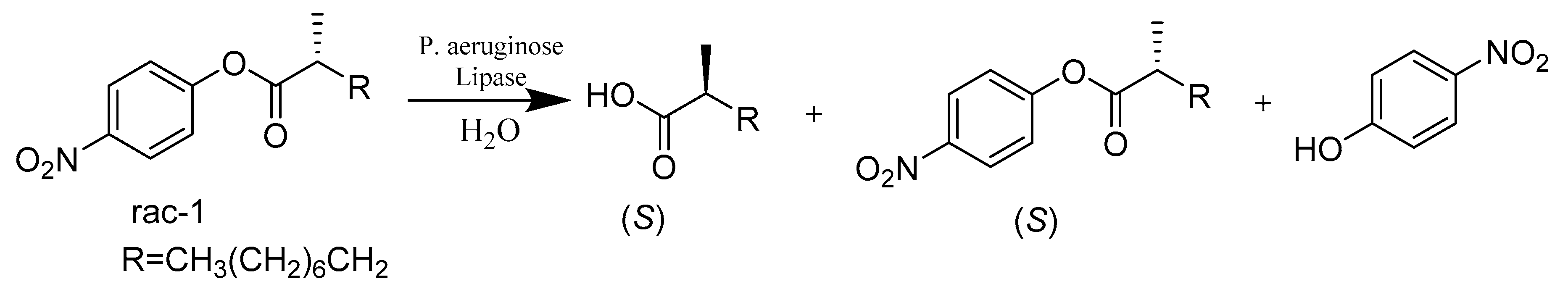 Catalysts 10 00832 sch030 Catalysts 10 00832 sch030