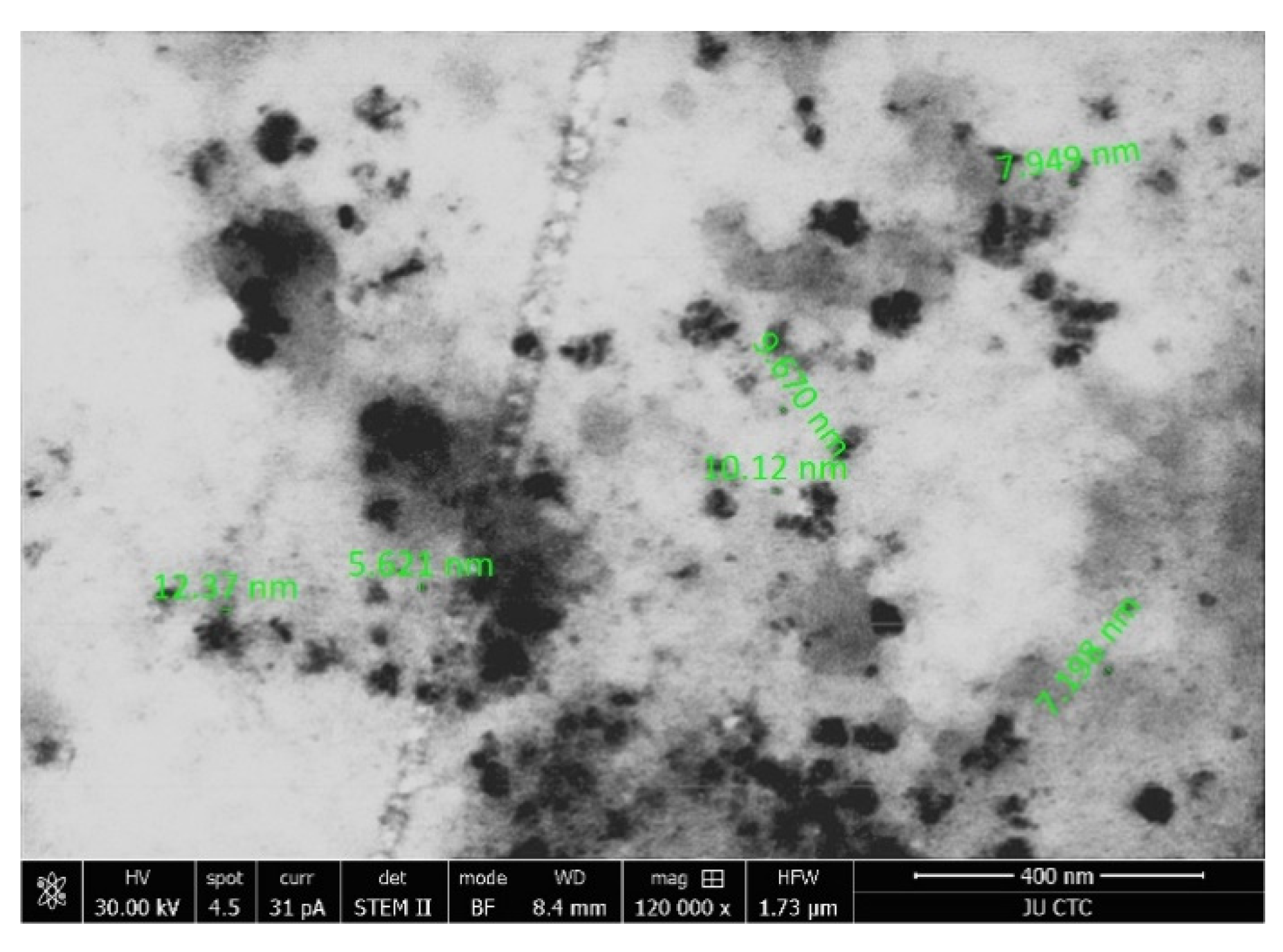Catalysts 10 00839 g004