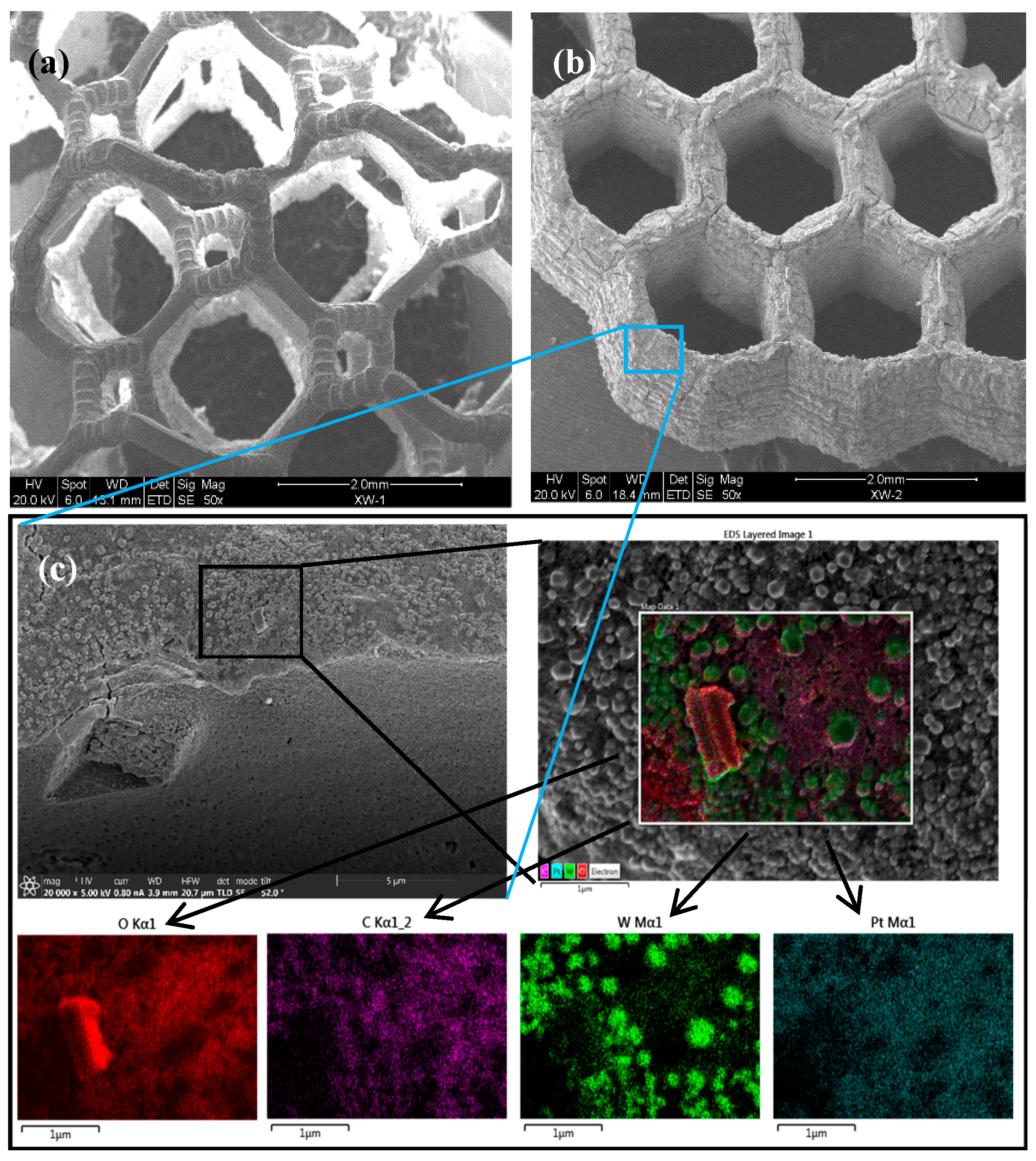 Catalysts 10 00840 g002