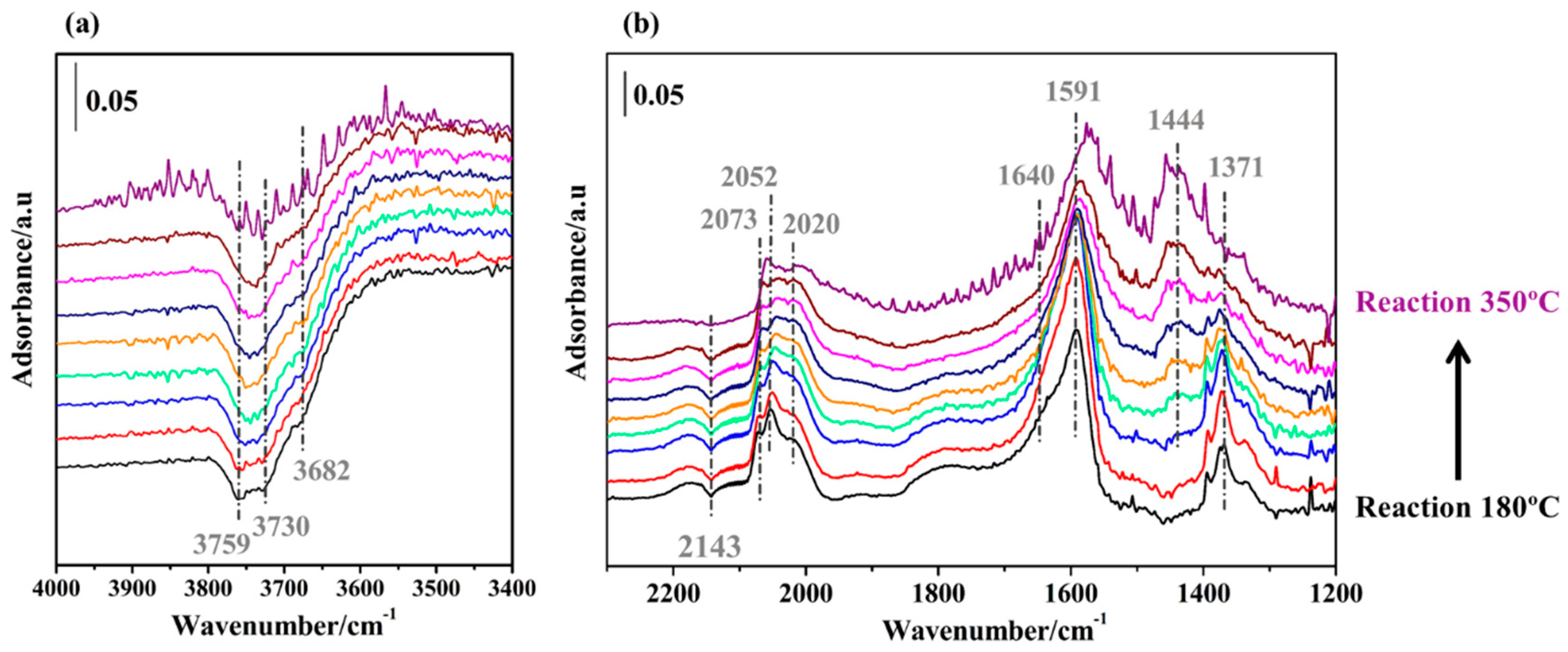 Catalysts 10 00841 g009
