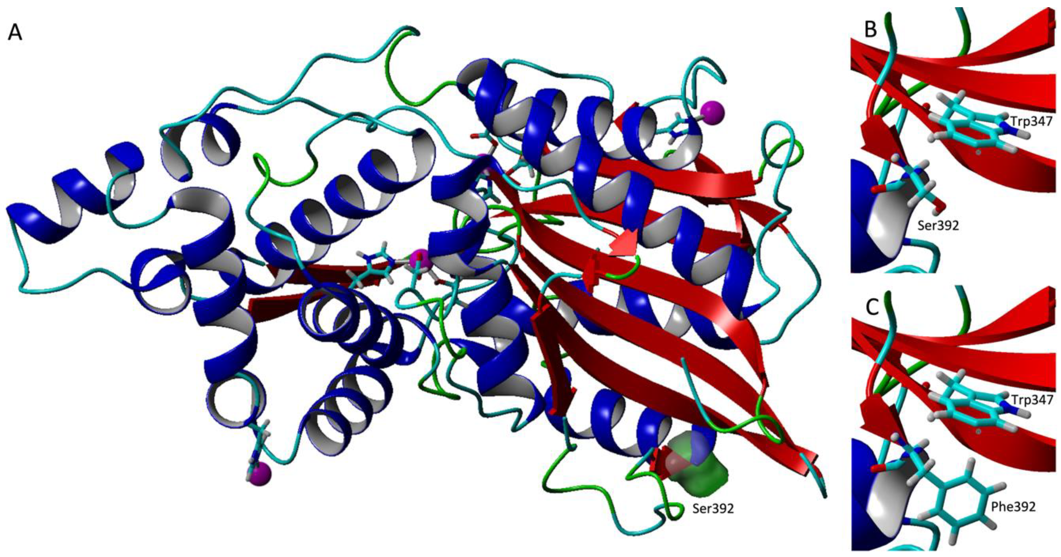 Catalysts 10 00844 g006