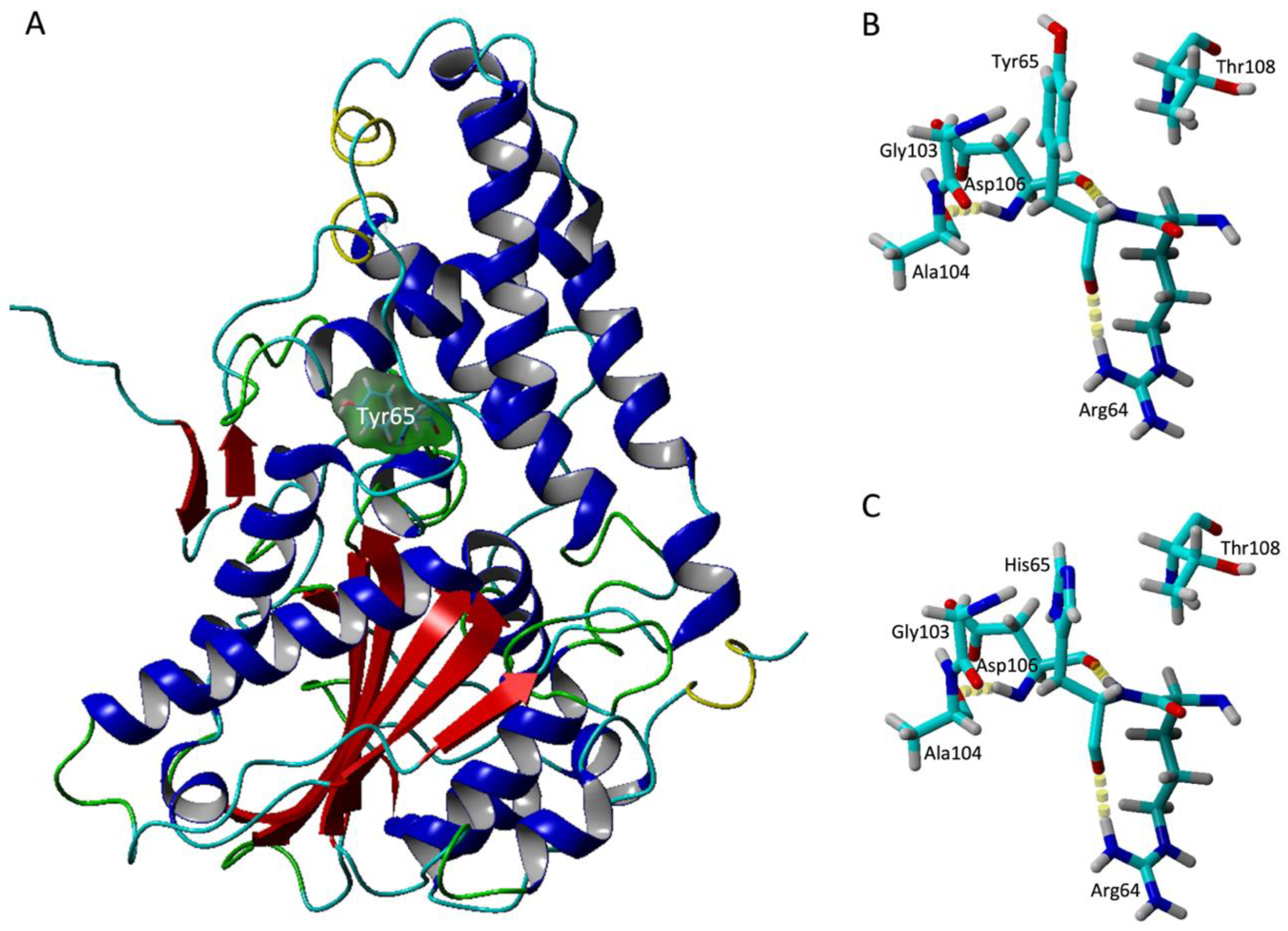 Catalysts 10 00844 g009