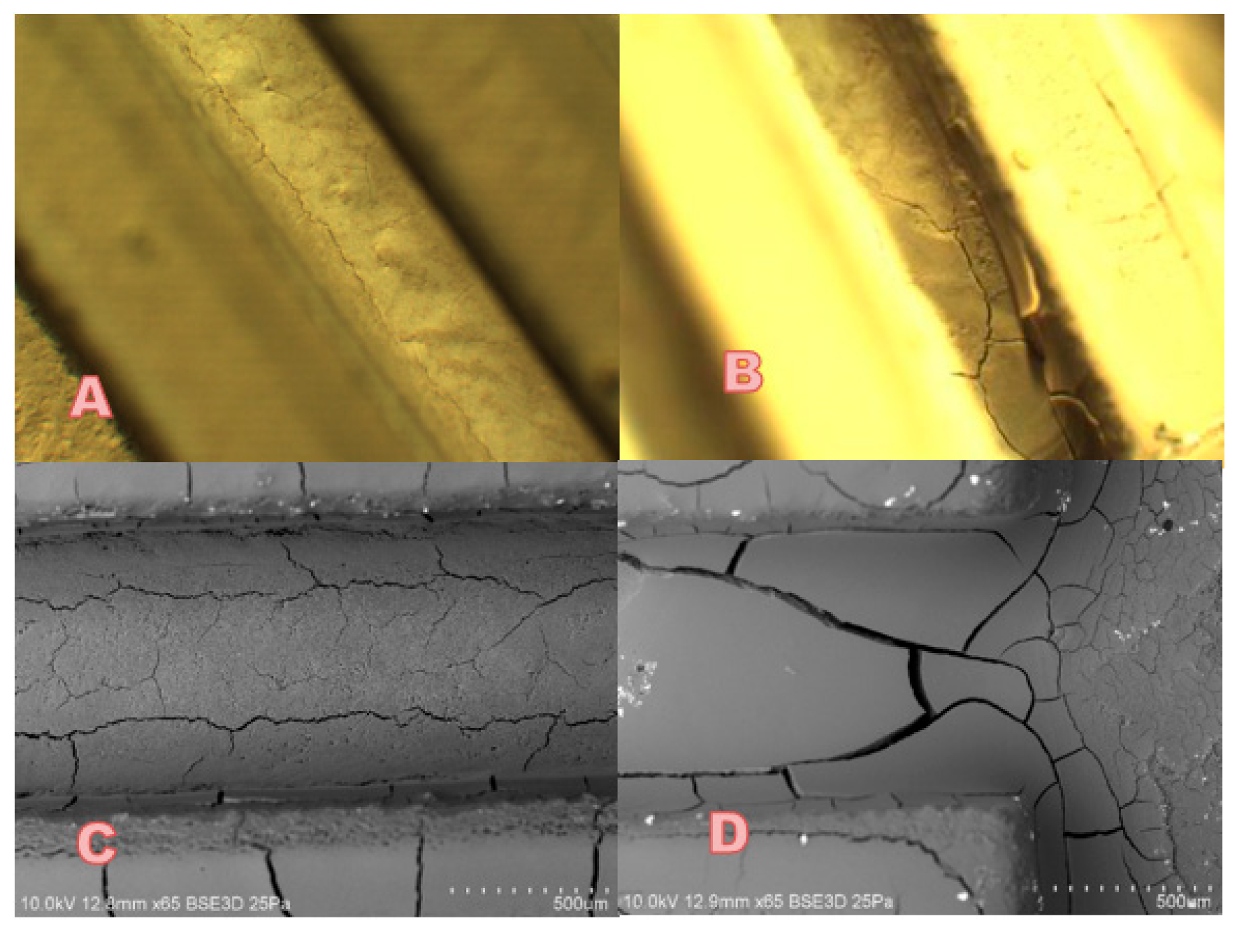 Catalysts 10 00846 g004 Catalysts 10 00846 g004