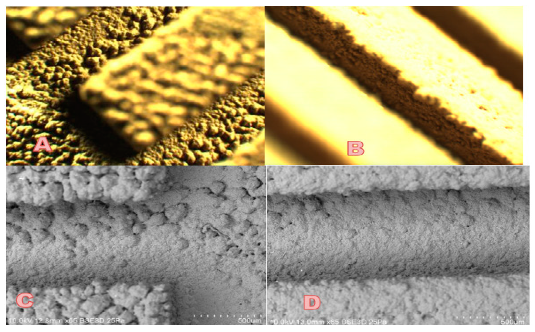Catalysts 10 00846 g005 Catalysts 10 00846 g005