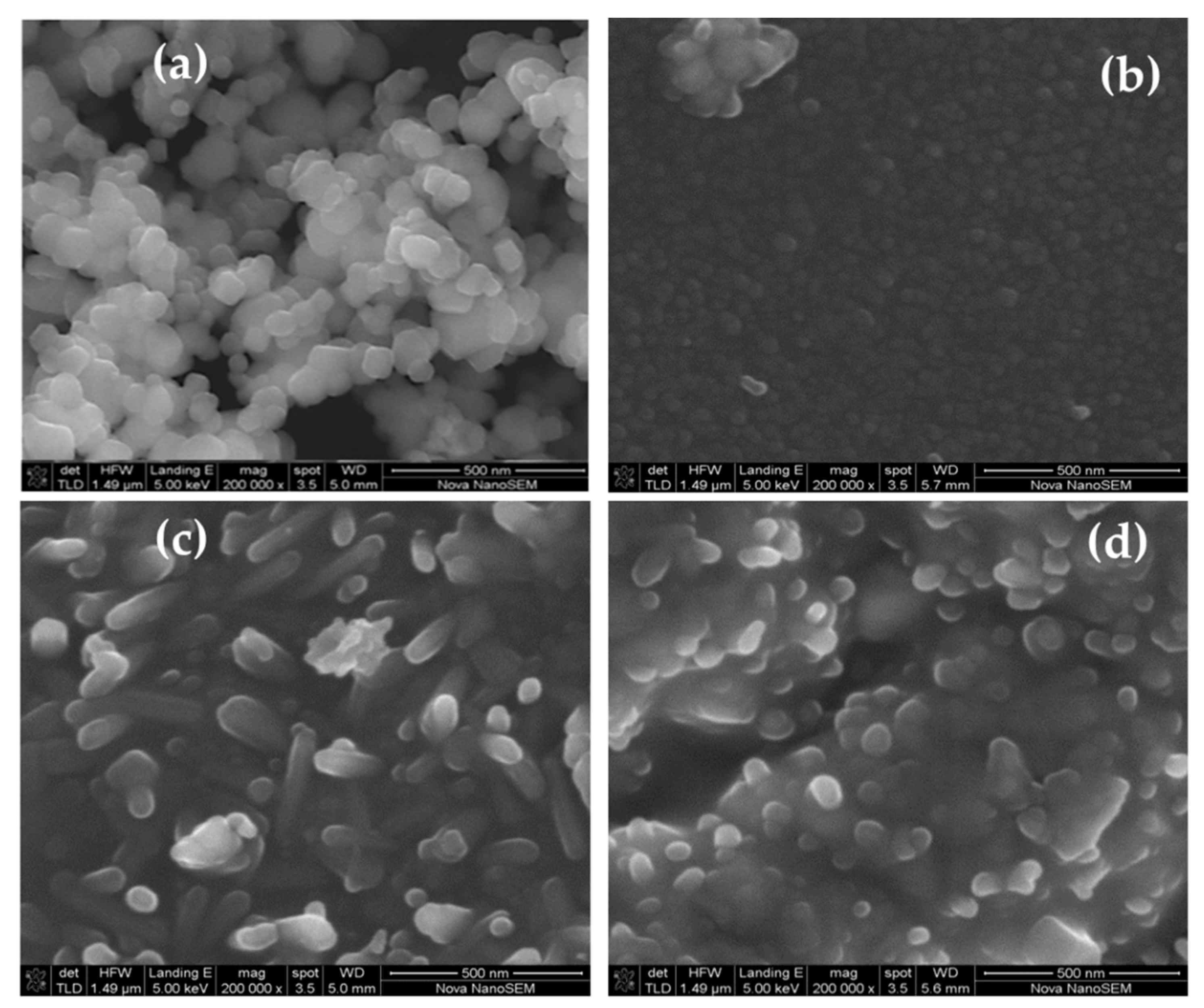 Catalysts 10 00847 g005a Catalysts 10 00847 g005a