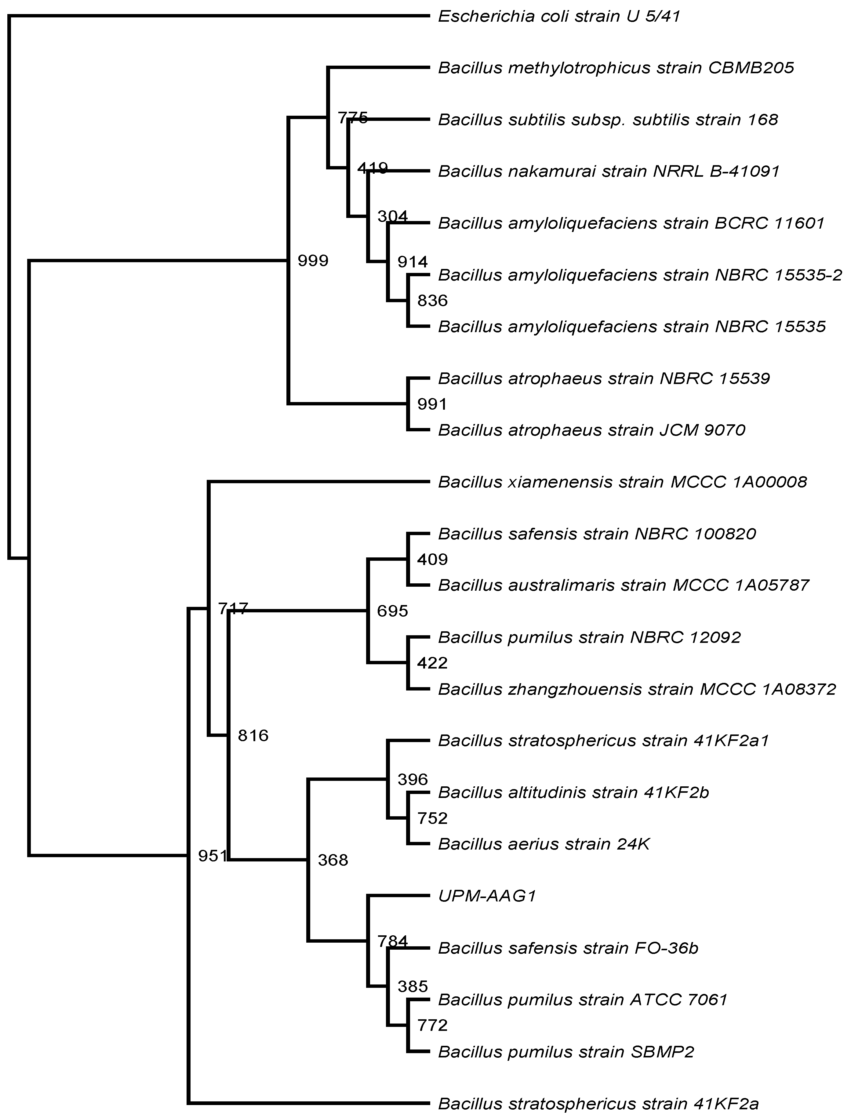 Catalysts 10 00848 g002