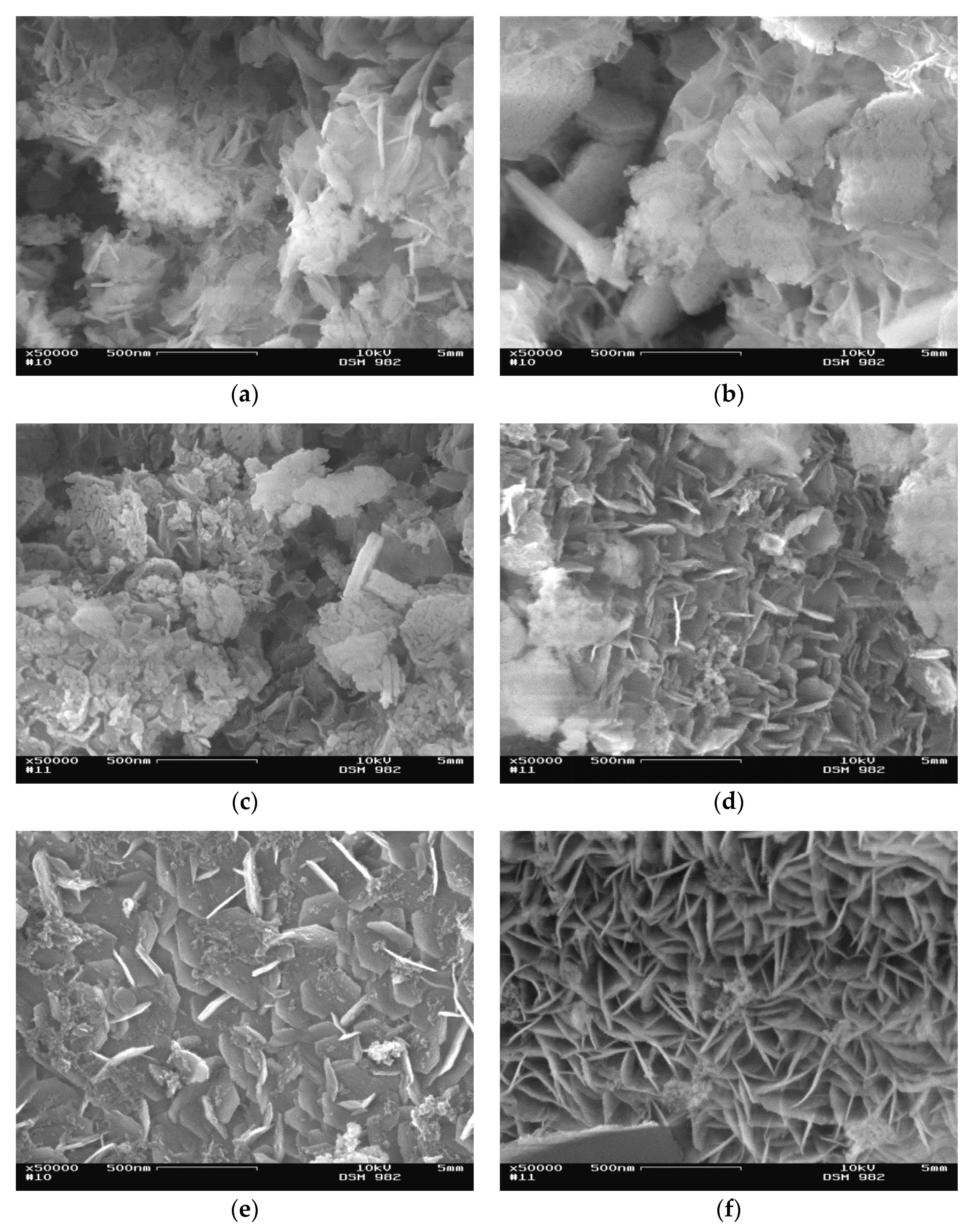Catalysts 10 00854 g011 Catalysts 10 00854 g011