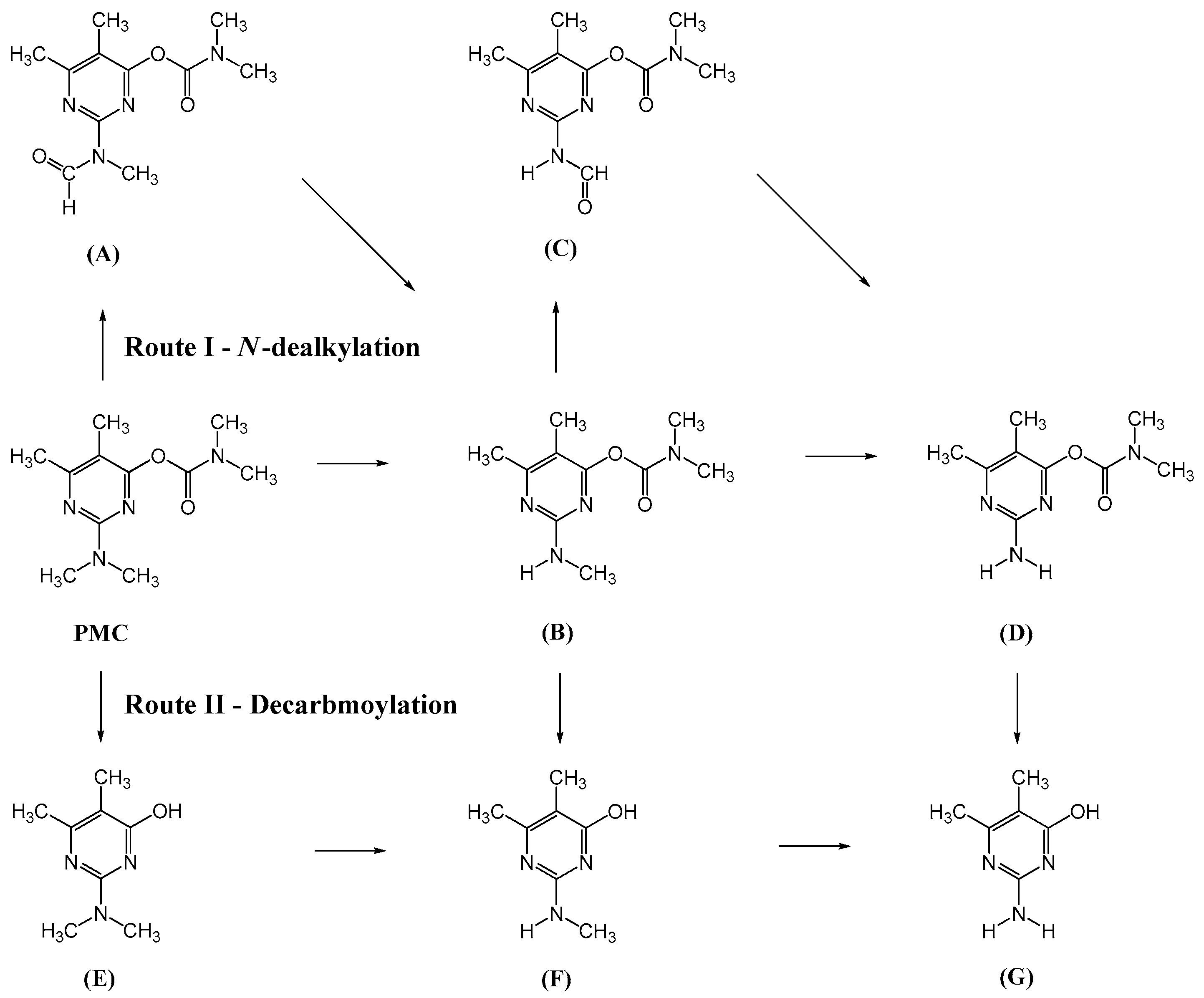 Catalysts 10 00857 g014 Catalysts 10 00857 g014