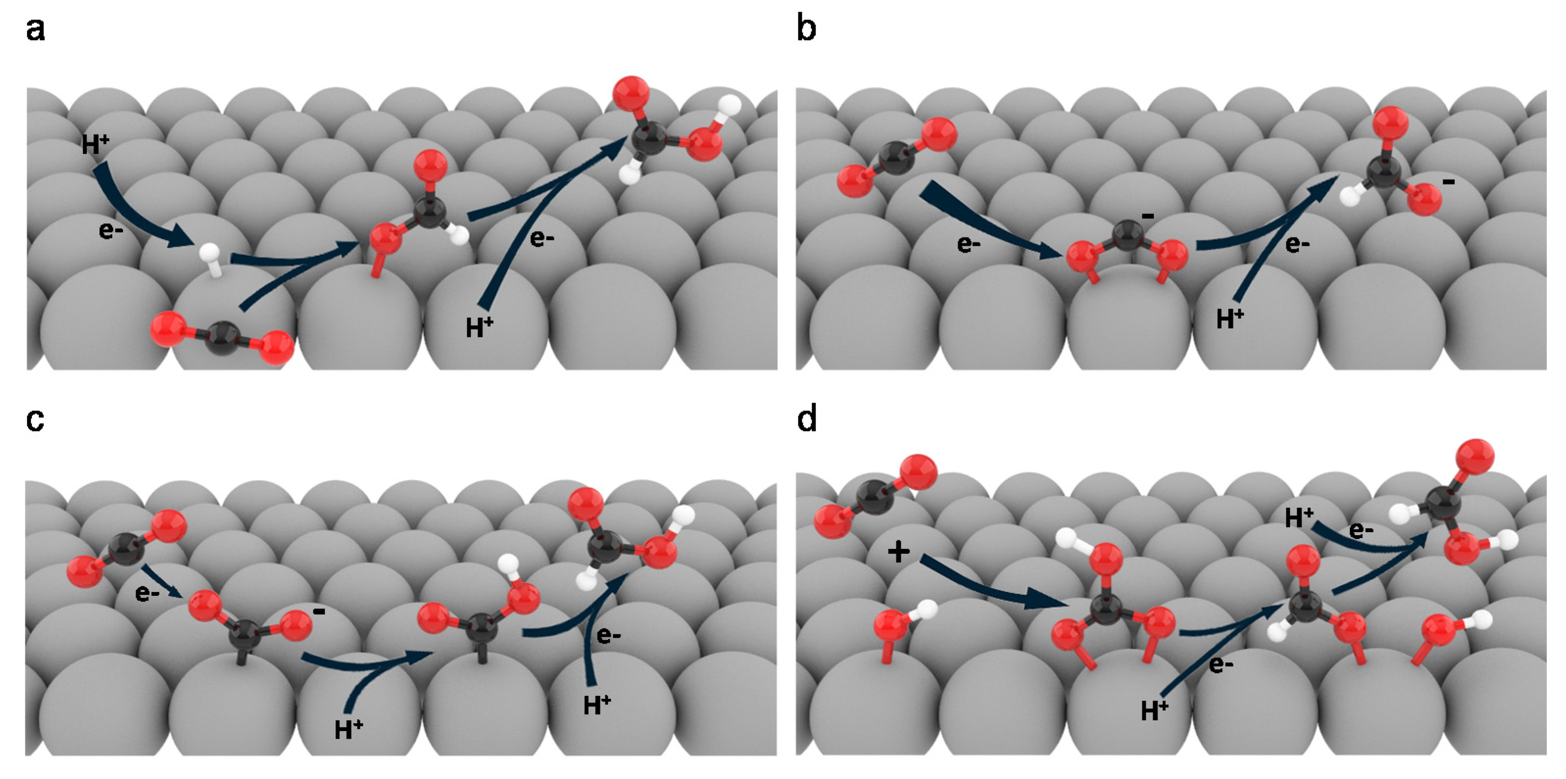 Catalysts 10 00859 g001