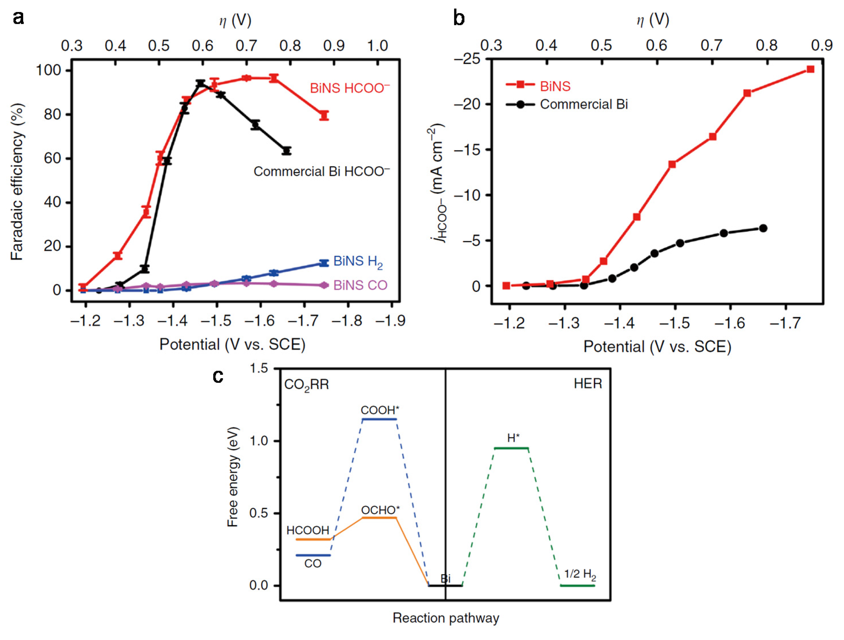 Catalysts 10 00859 g004