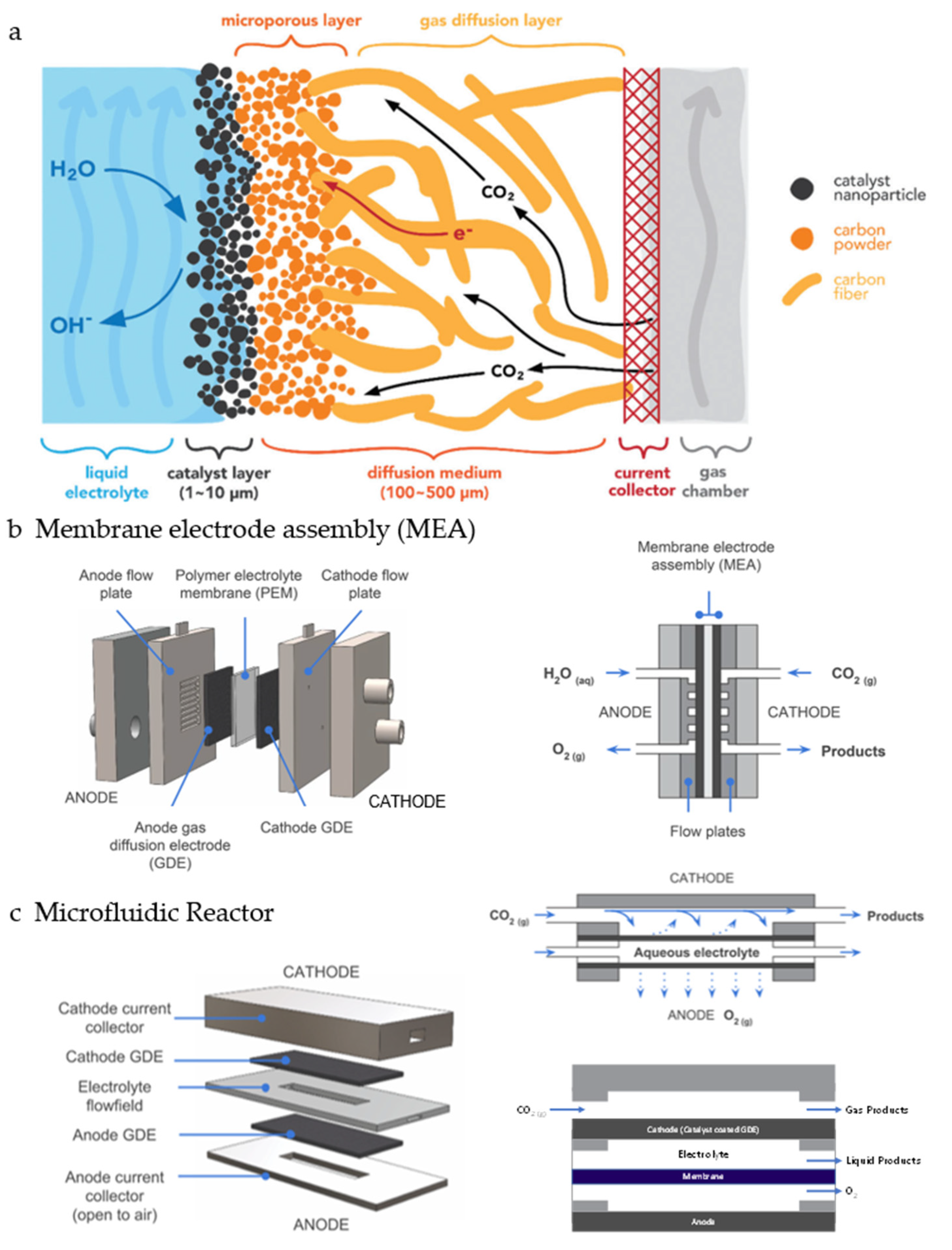 Catalysts 10 00859 g010