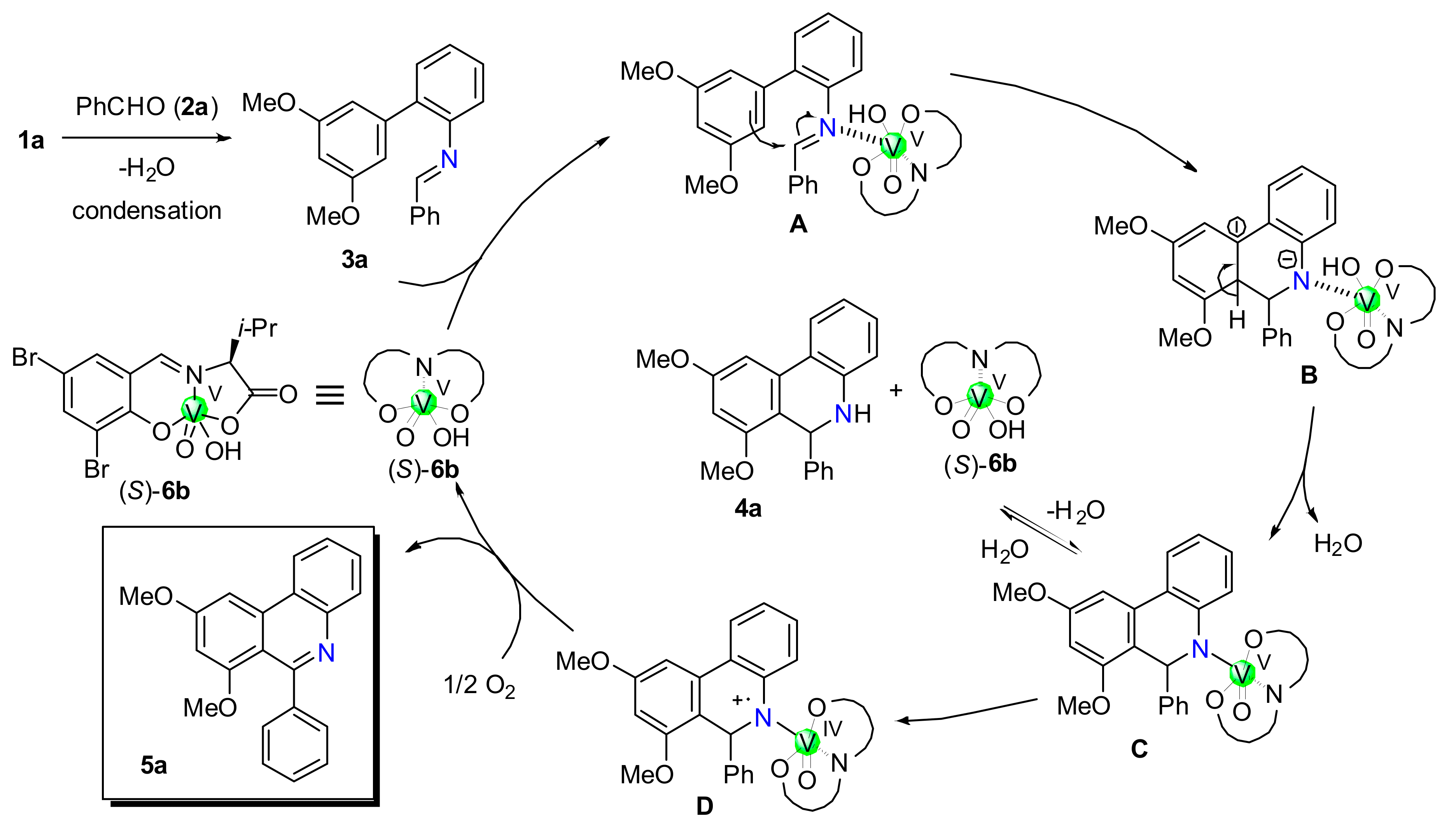 Catalysts 10 00860 g003