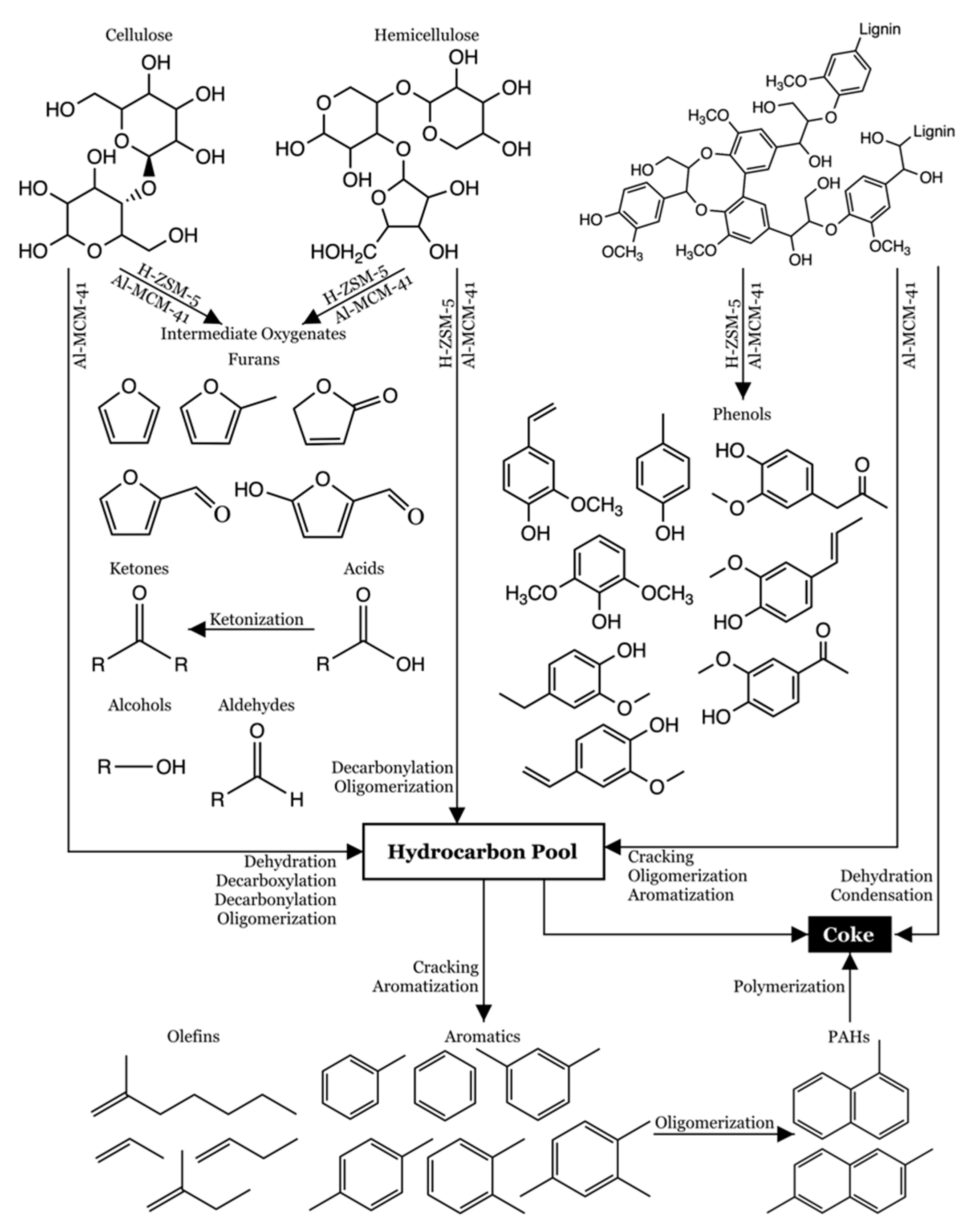 Catalysts 10 00868 g003
