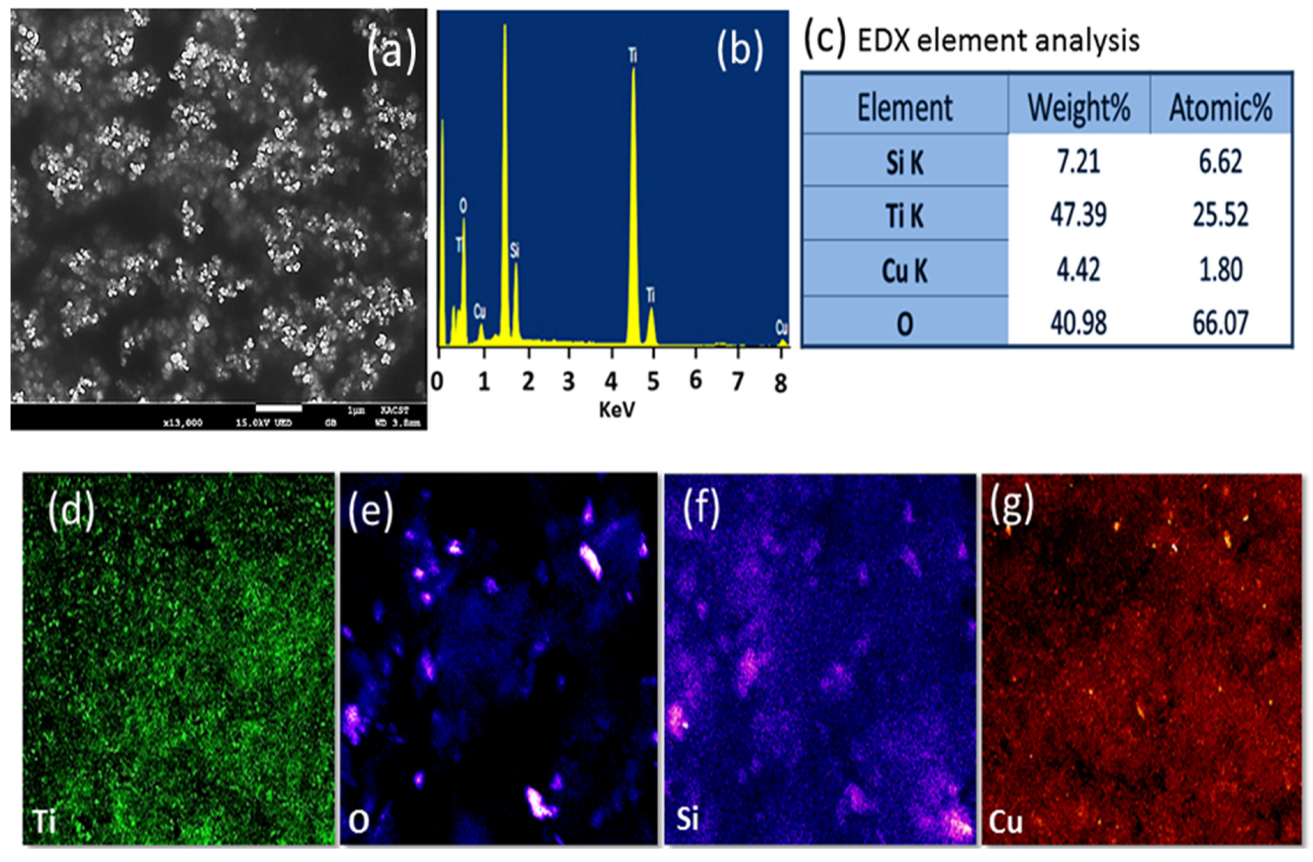 Catalysts 10 00872 g005
