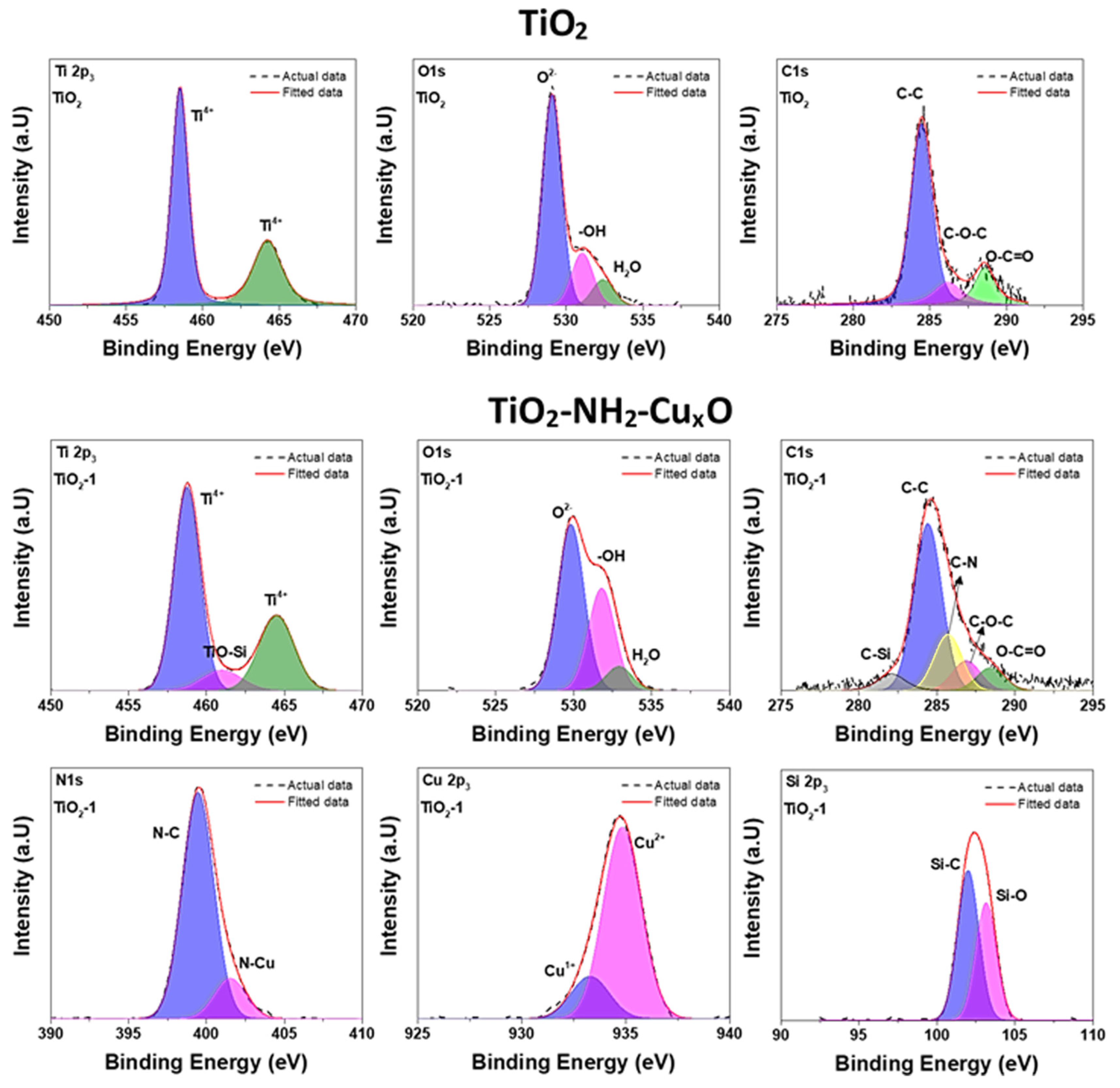 Catalysts 10 00872 g008