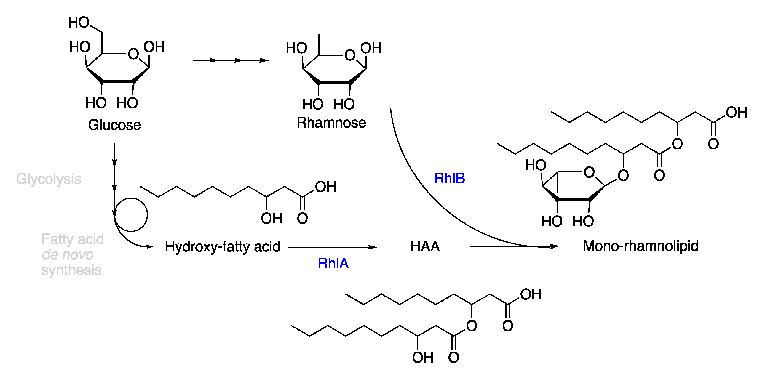 Catalysts 10 00874 sch001 Catalysts 10 00874 sch001