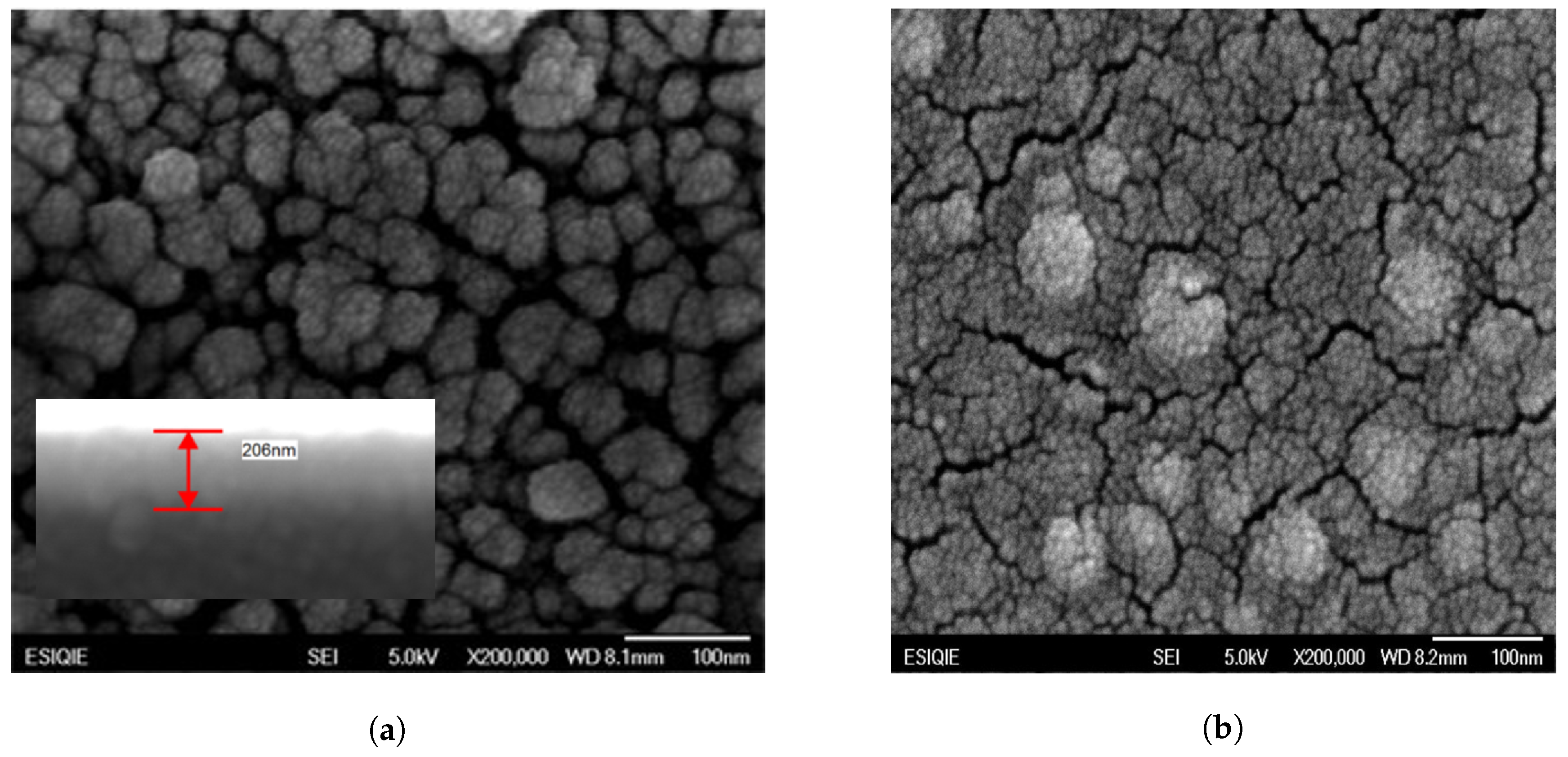 Catalysts 10 00884 g003 Catalysts 10 00884 g003
