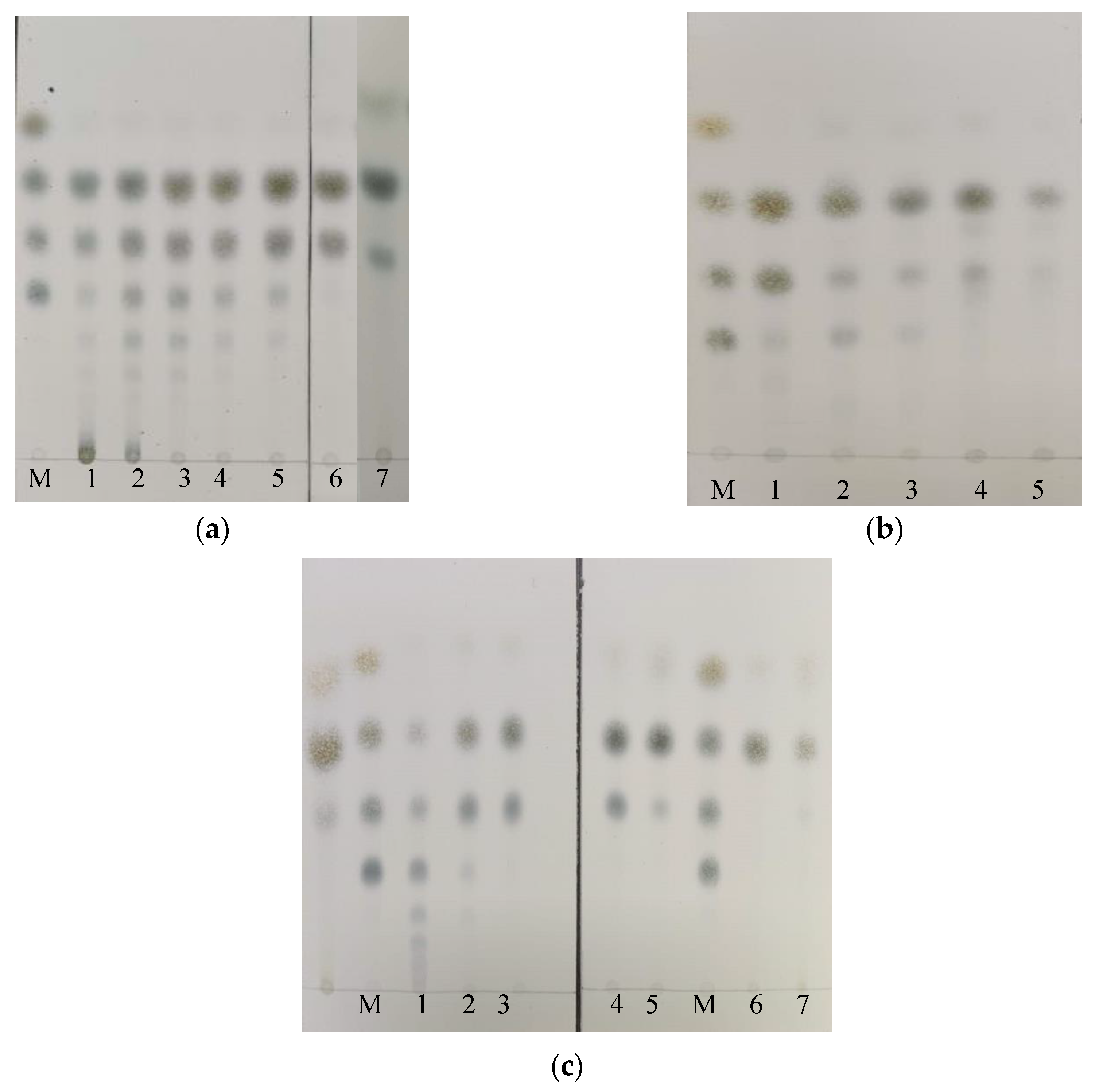 Catalysts 10 00885 g004 Catalysts 10 00885 g004
