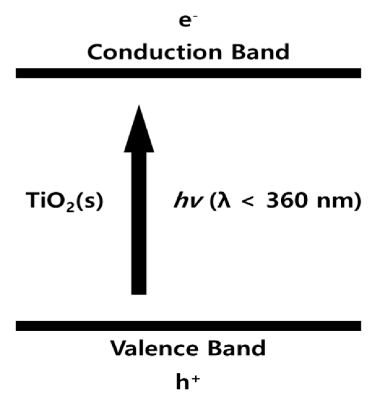 Catalysts 10 00886 sch001