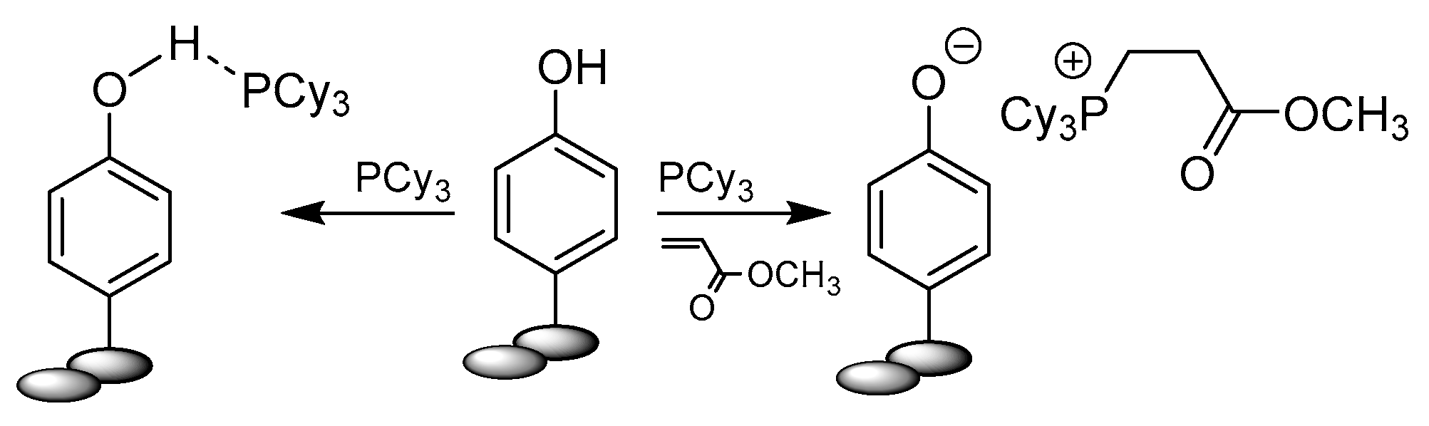 Catalysts 10 00887 sch023 Catalysts 10 00887 sch023