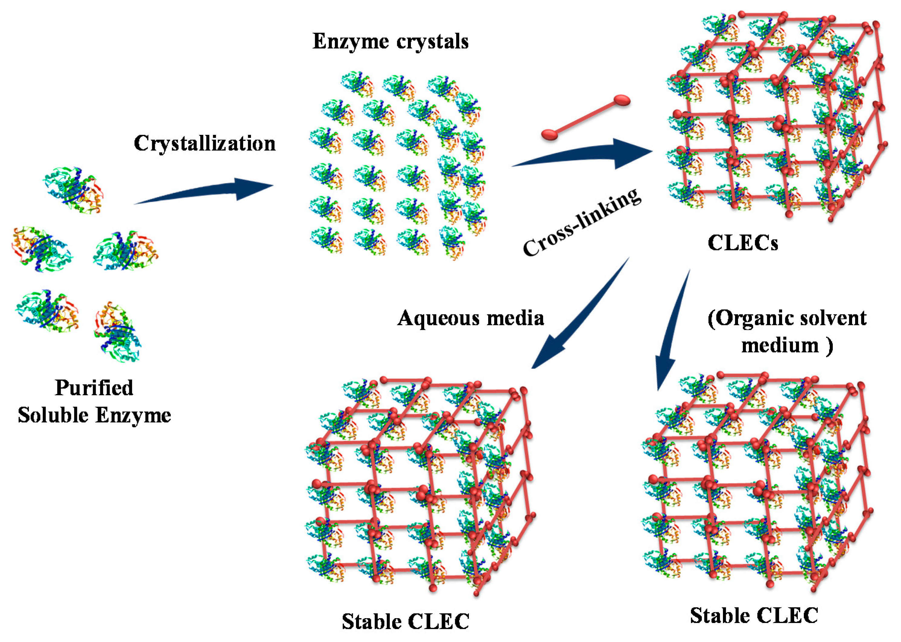 Catalysts 10 00891 g002