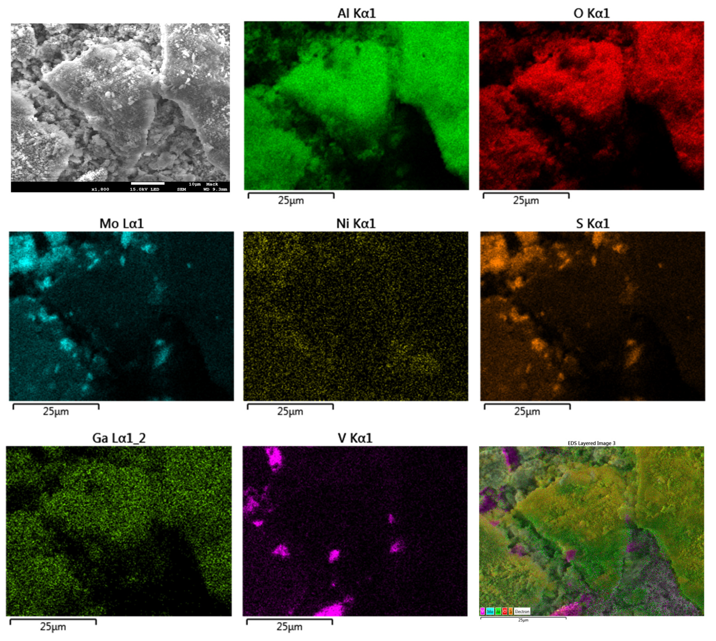 Catalysts 10 00894 g005 Catalysts 10 00894 g005