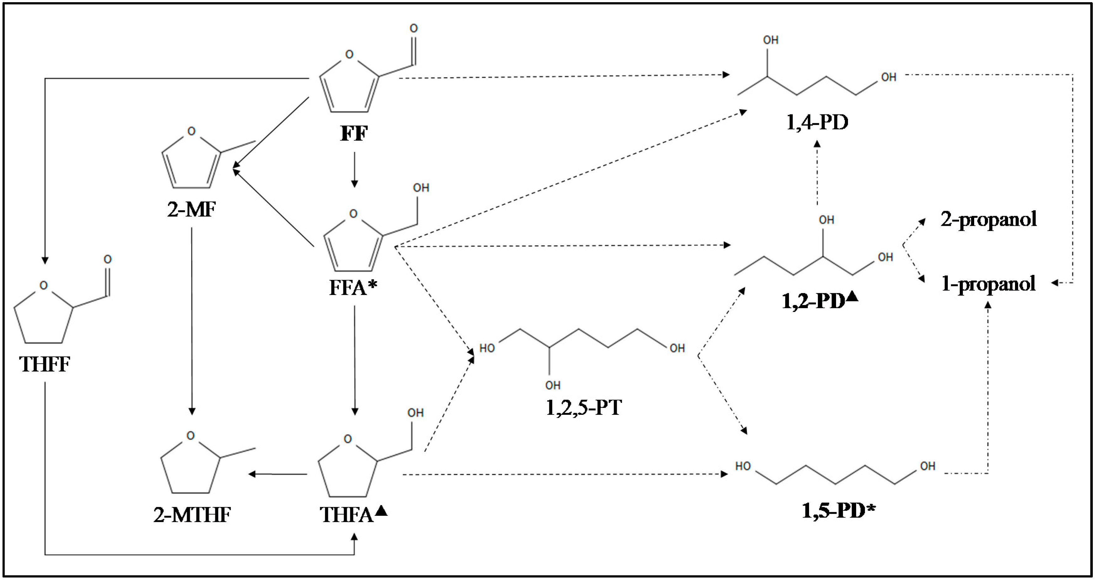 Catalysts 10 00895 g005 Catalysts 10 00895 g005