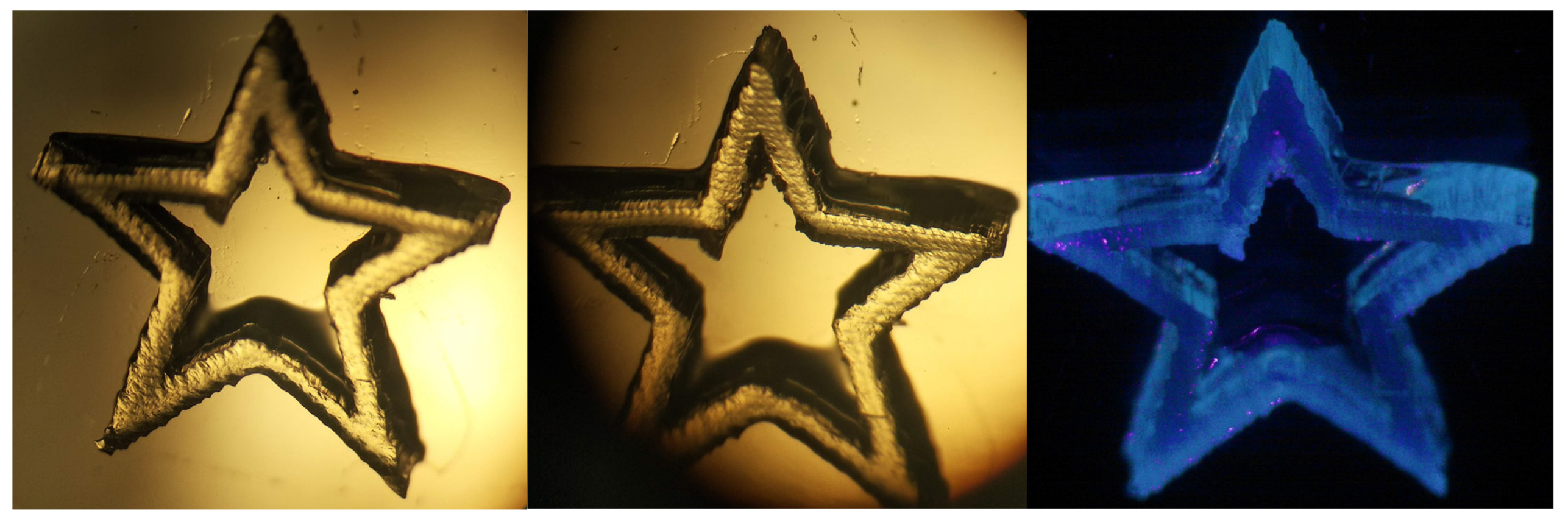 Catalysts 10 00903 g013