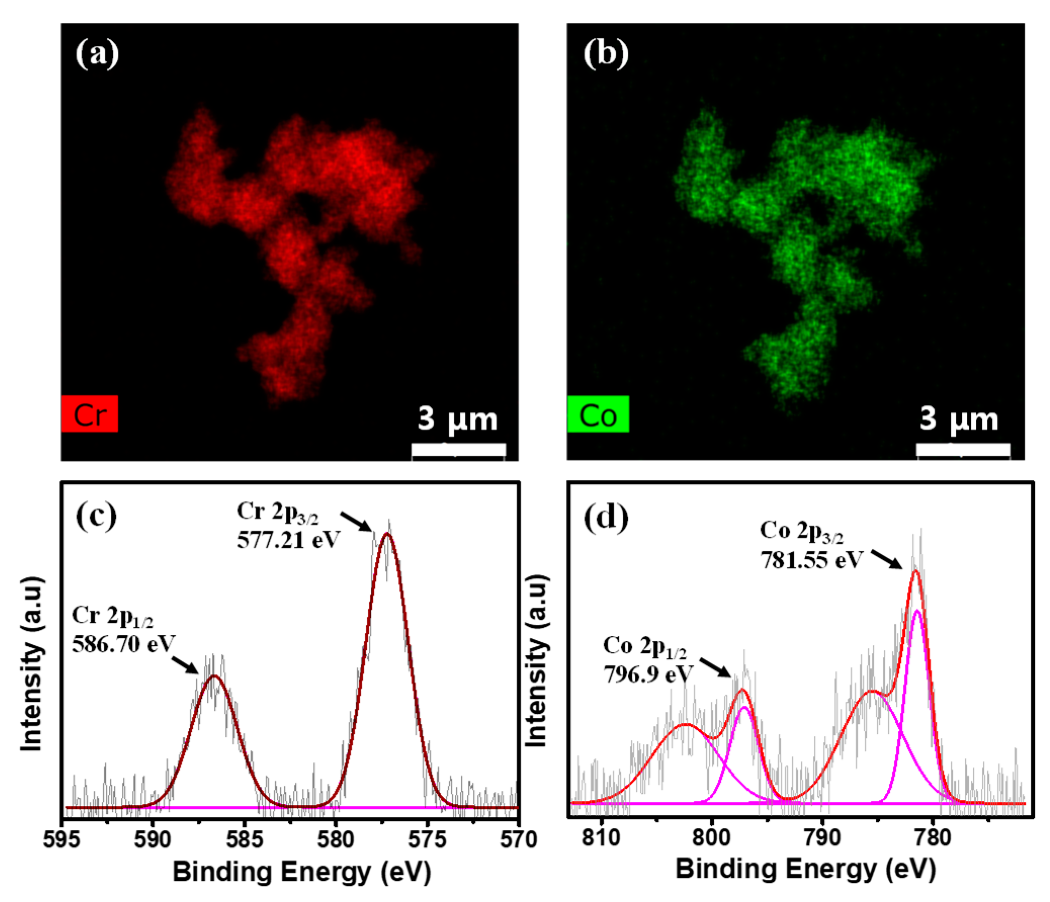 Catalysts 10 00905 g002 Catalysts 10 00905 g002